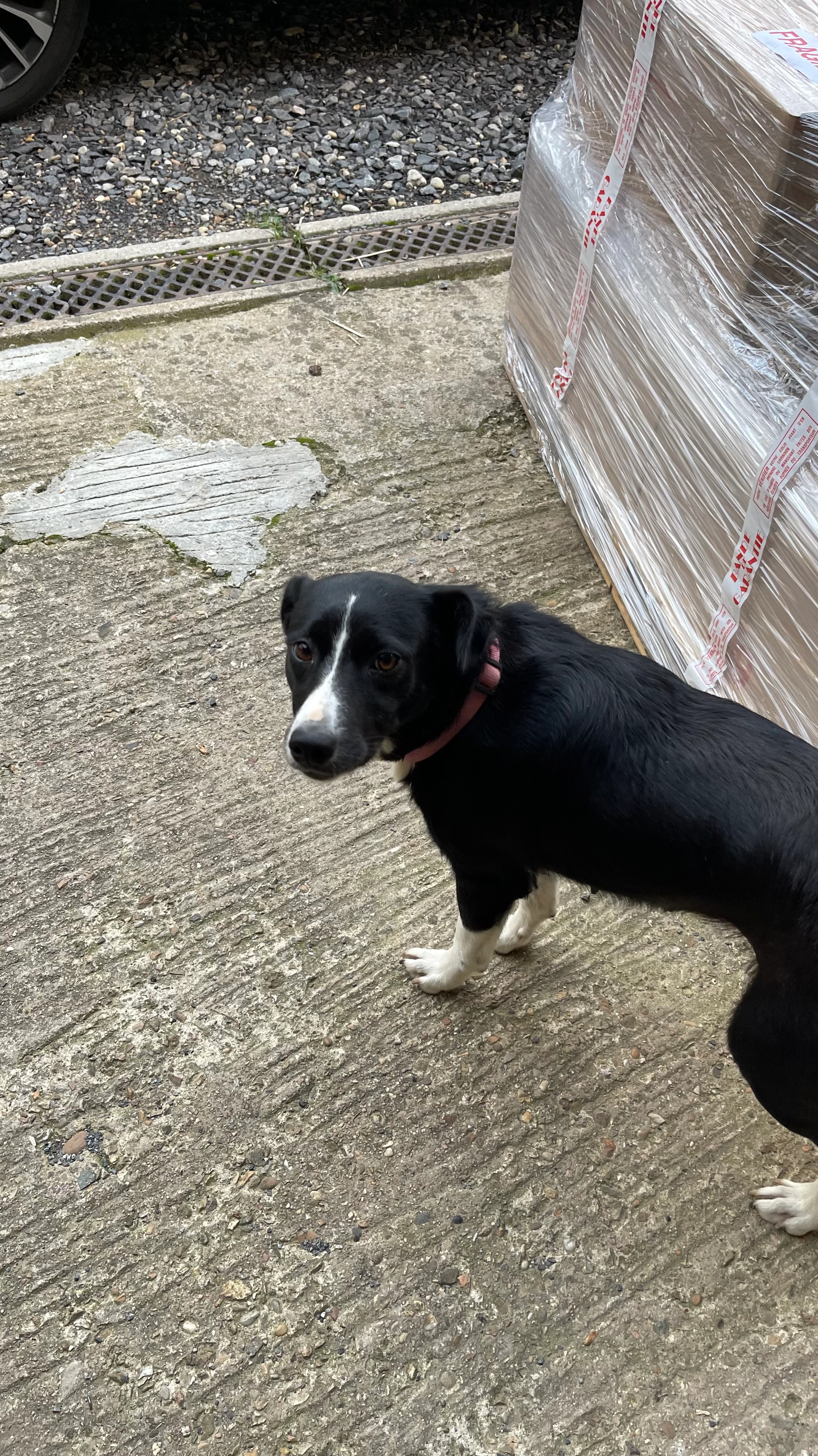 Obi - 21 Rue André-Marie Ampère, Champforgeuil