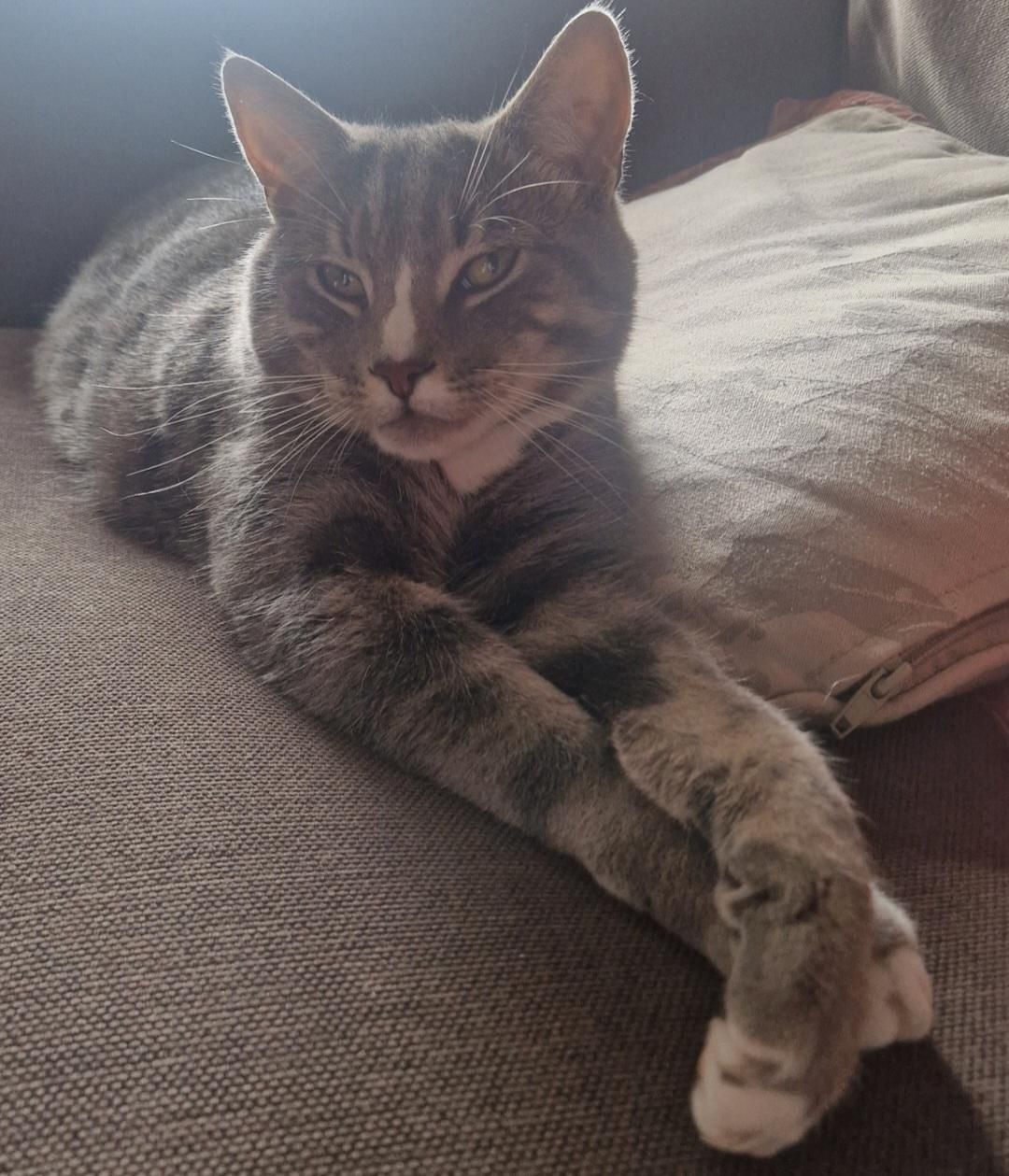 Looney - BT45 6, Magherafelt