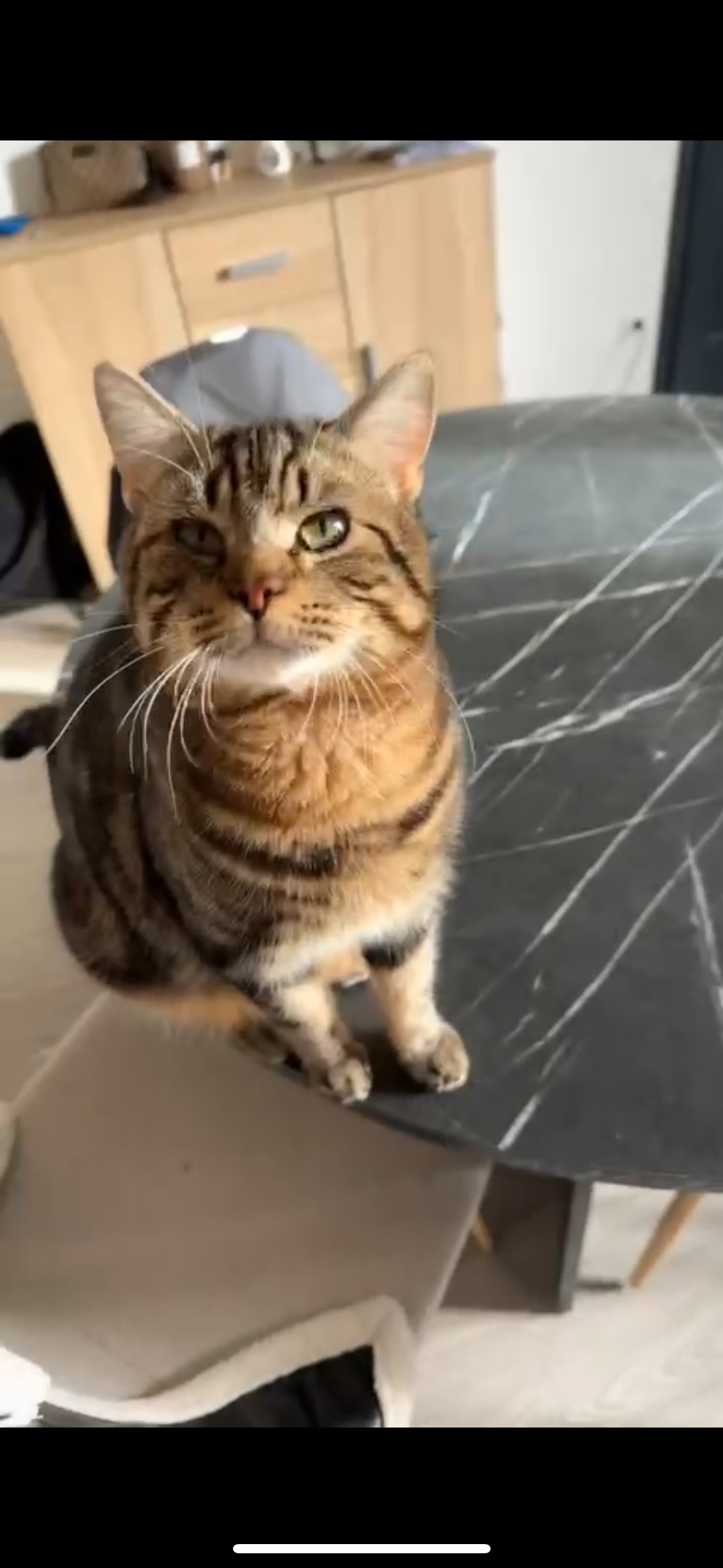 Shadow - Avenue Jules Ferry, Marcoing