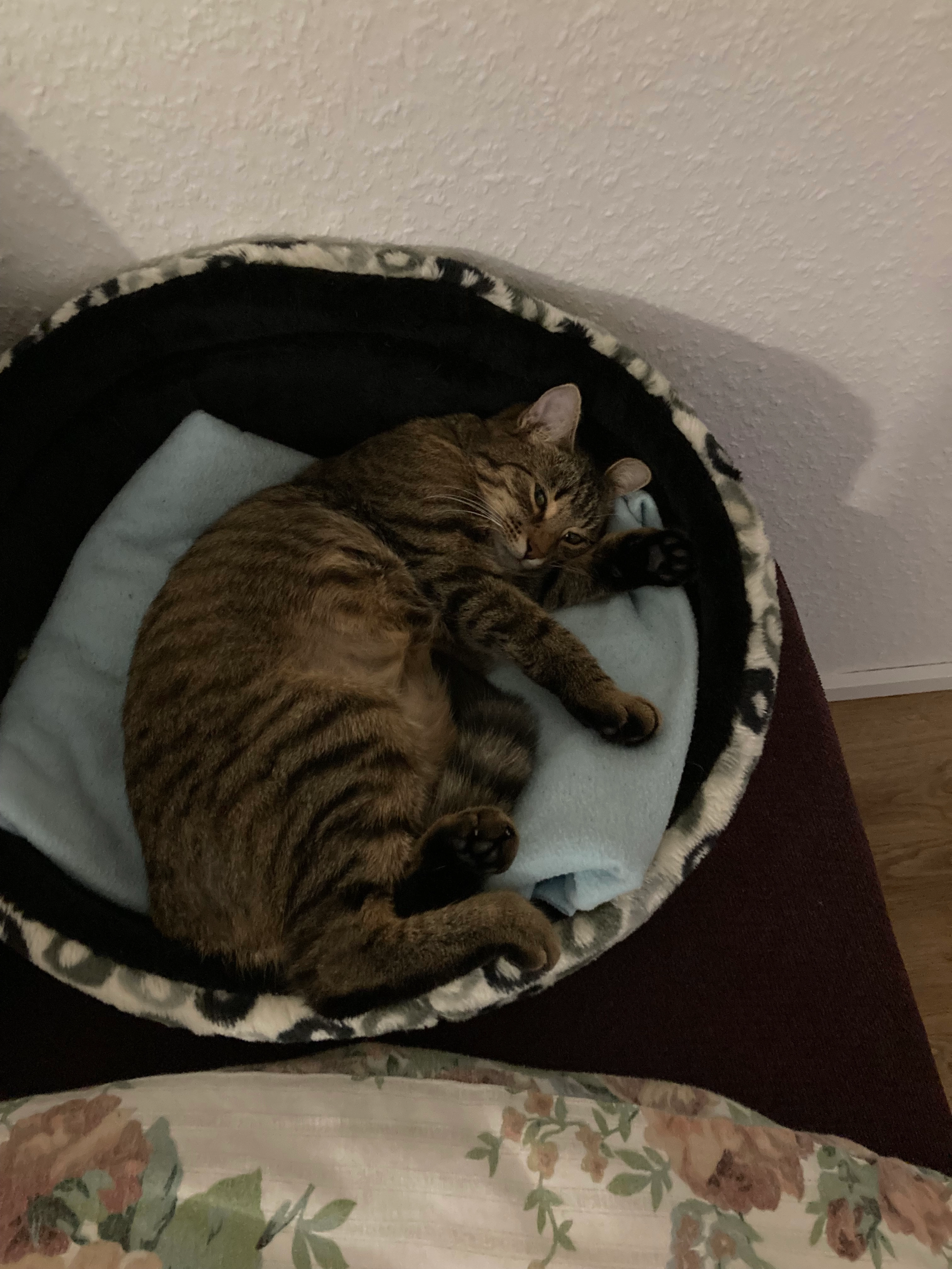 Mogli - Hohe Straße, Pfullingen