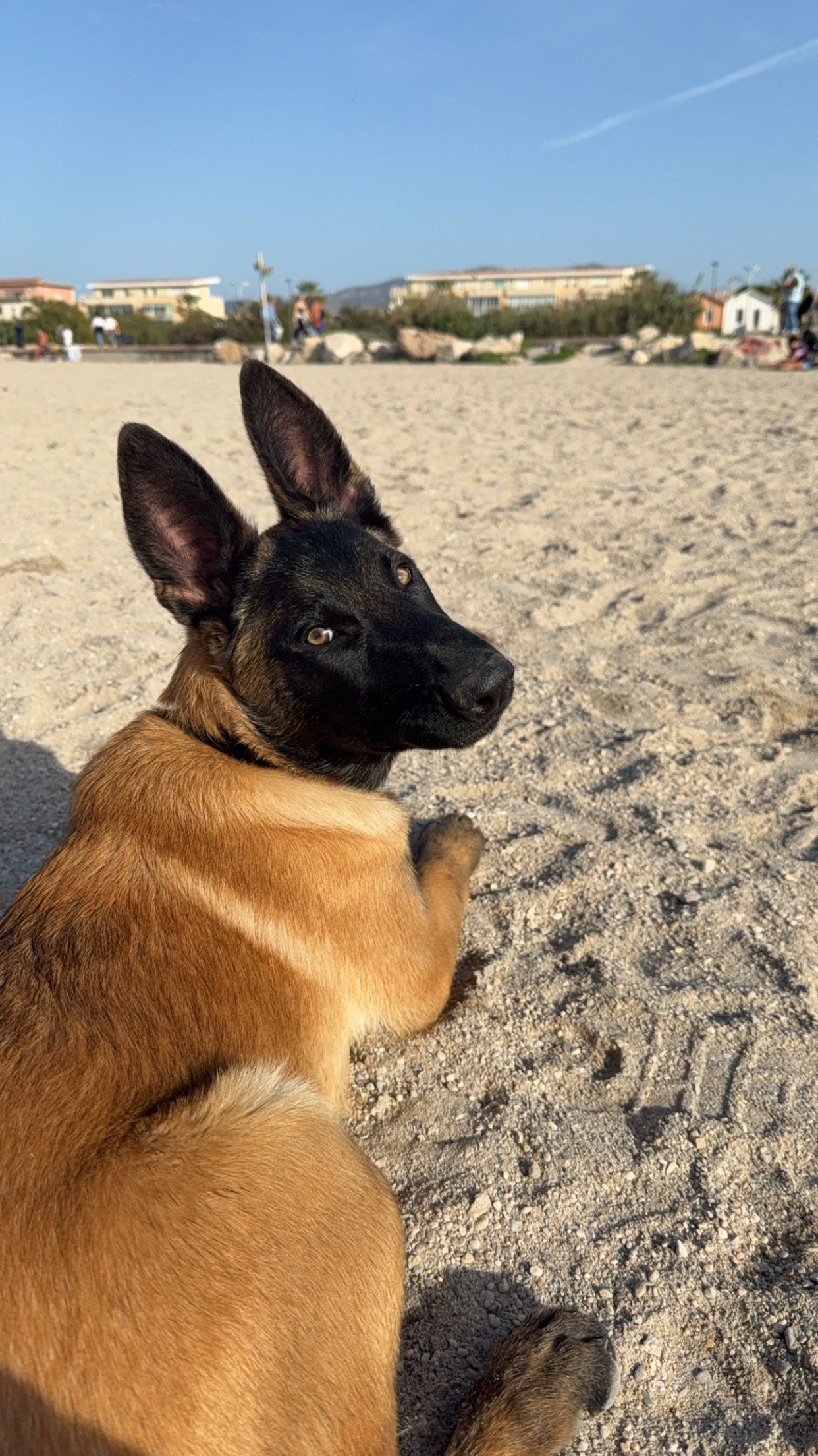 Simba  - 172 Chemin de Sormiou, Marseille