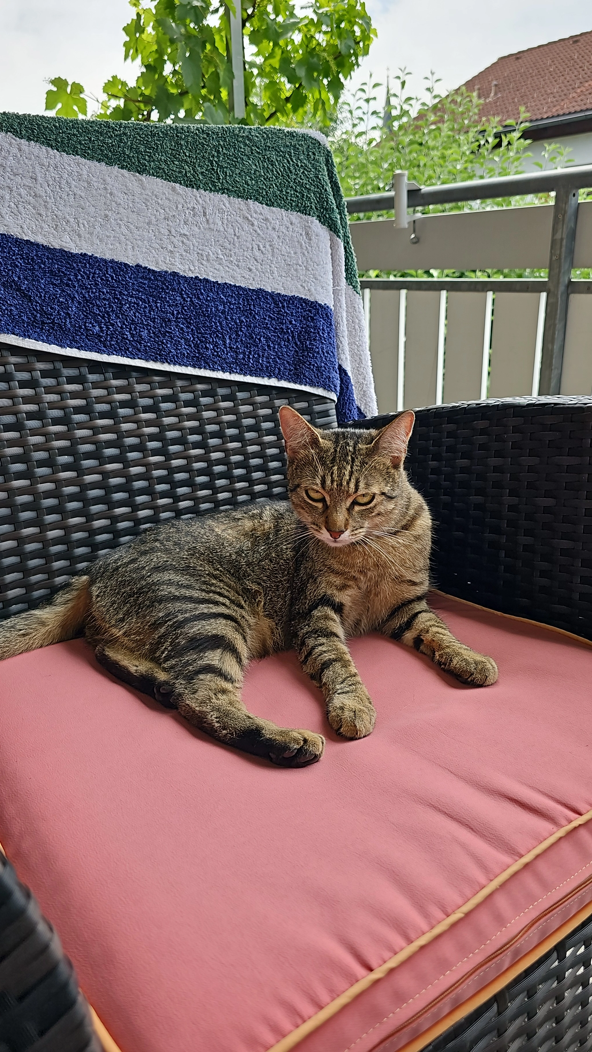 Carlo - Baumannstraße, Sonthofen