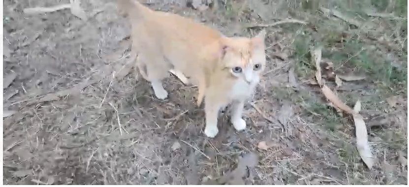 Sira - Lugar Ponte Sapo, Vilasantar