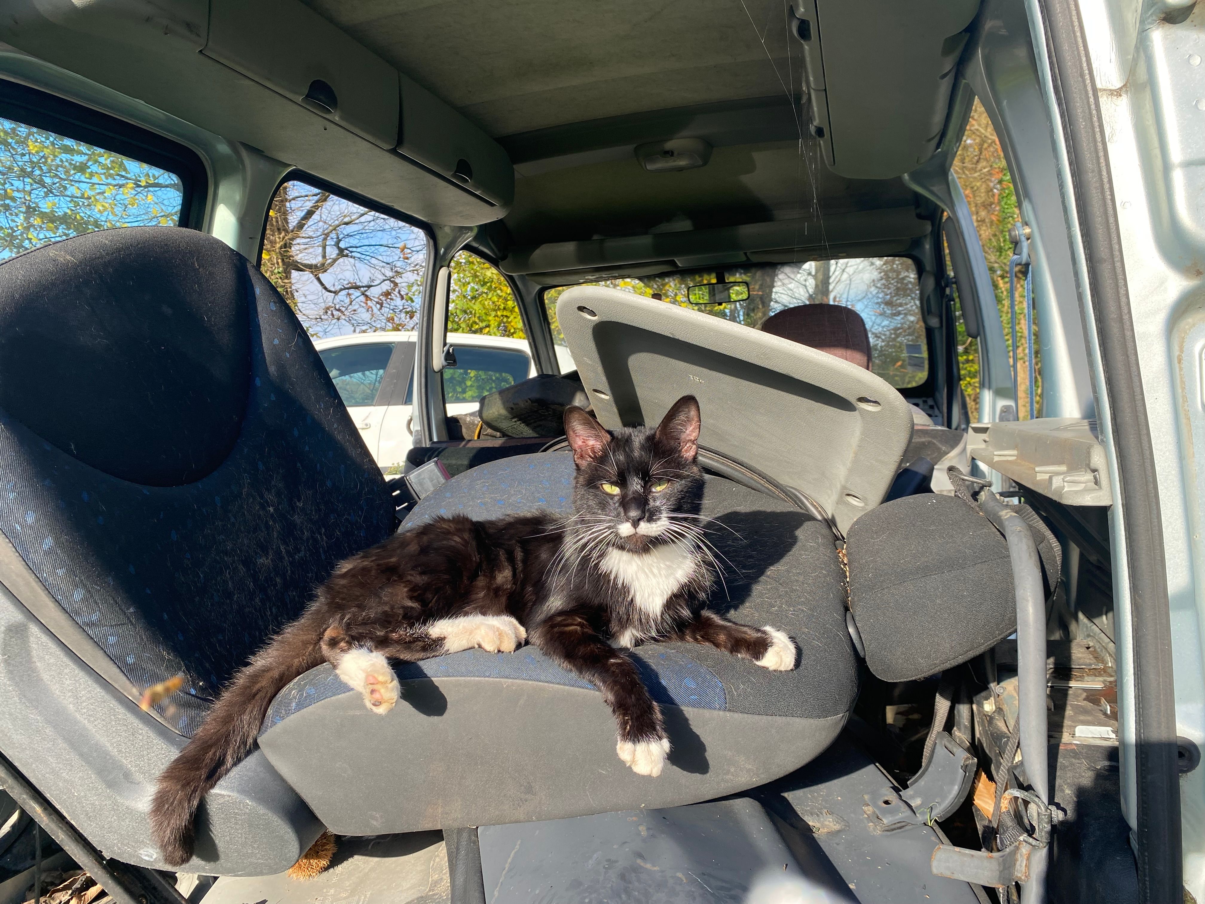 Thalès  - Cité de Ker Maner, Évellys