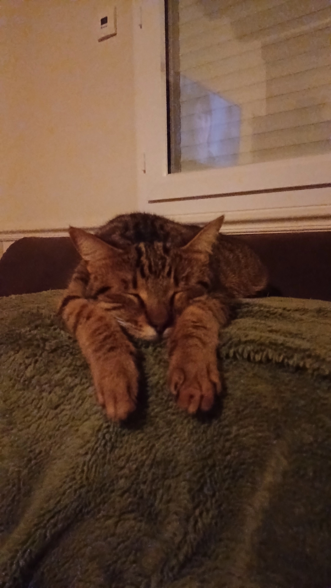 Bébé  - Rue Des Forières, Caugé