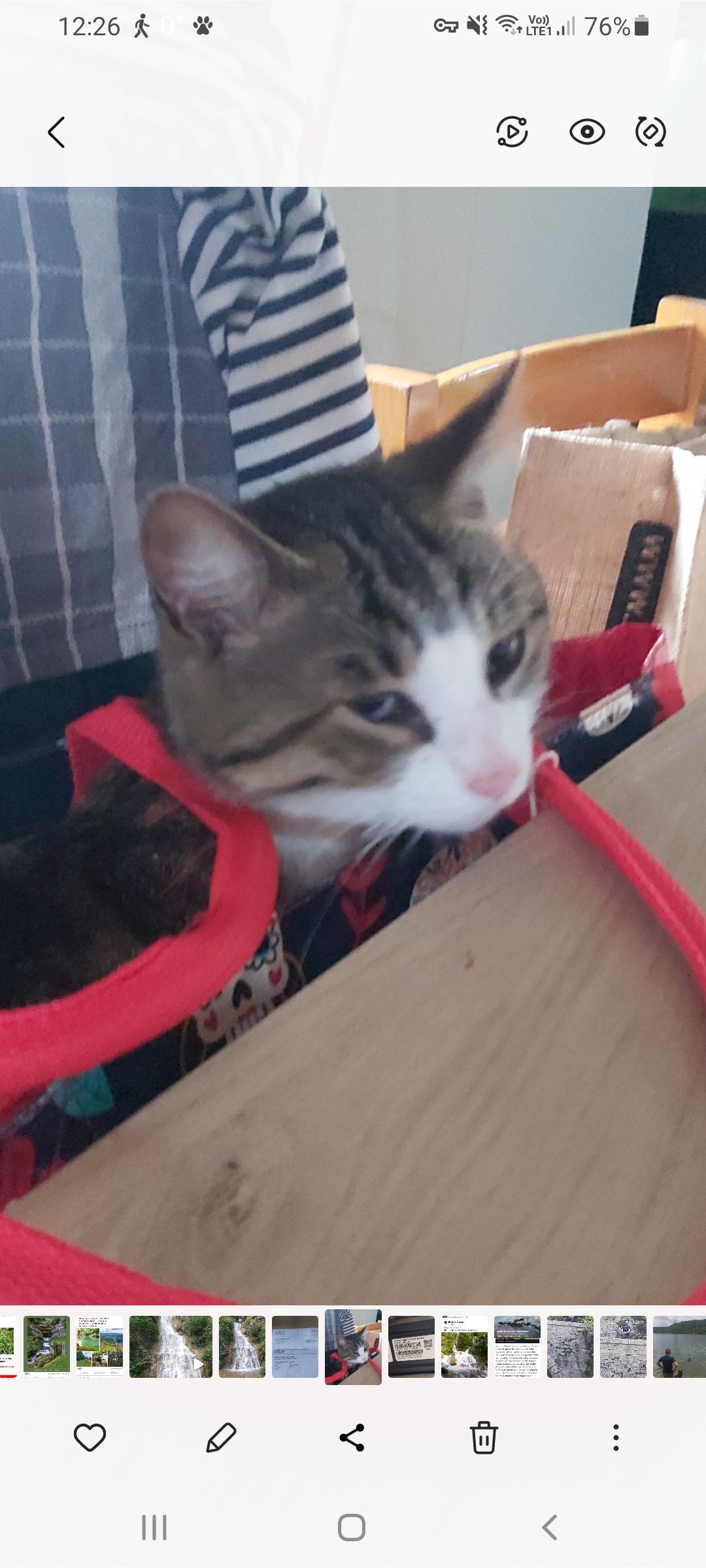 Pirate - 2 Rue Pasteur, Coteaux-du-Lizon