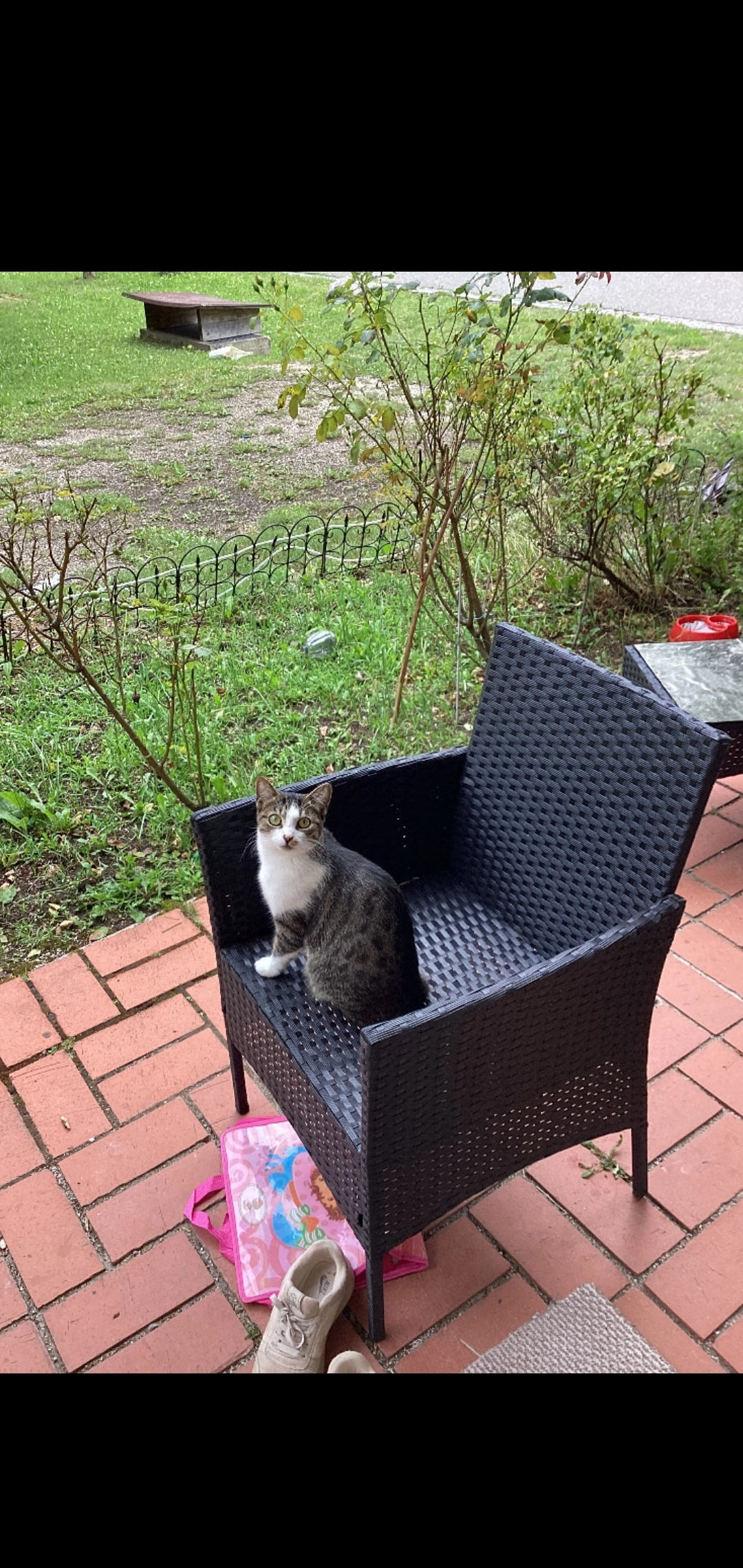 Kitty - Chiemseestraße, Traunstein