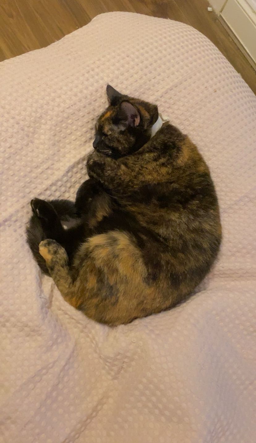 rubykin - 232 Skipton Road, Keighley