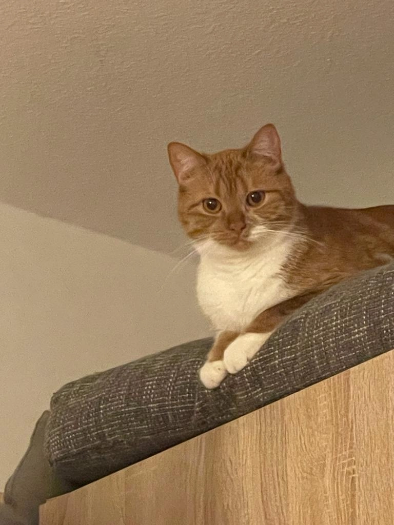 Lucky - Hauptstraße , Petersberg Böckels