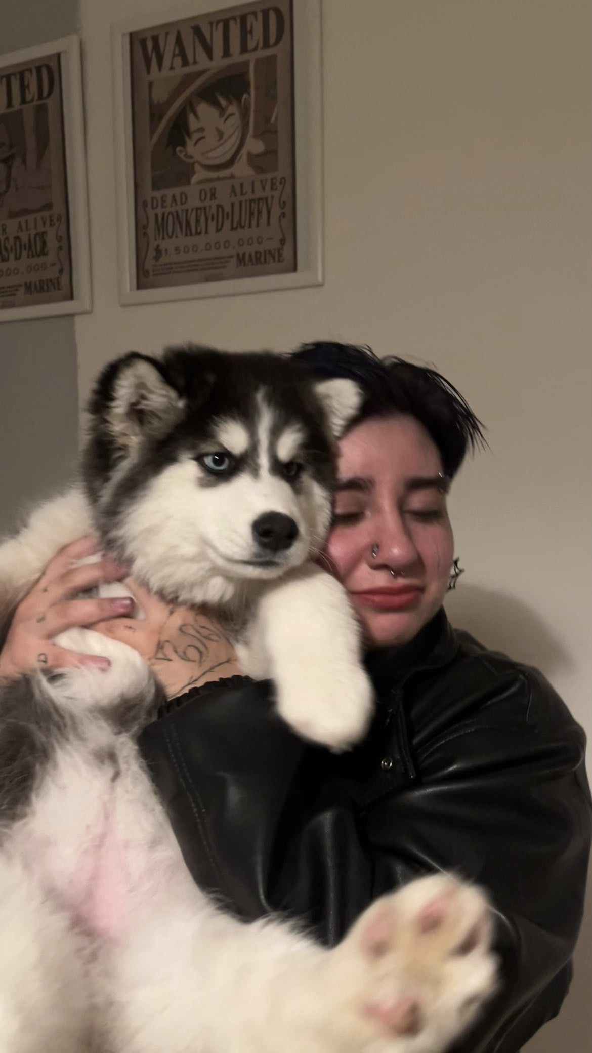 Hina - Mollardgasse, Wien