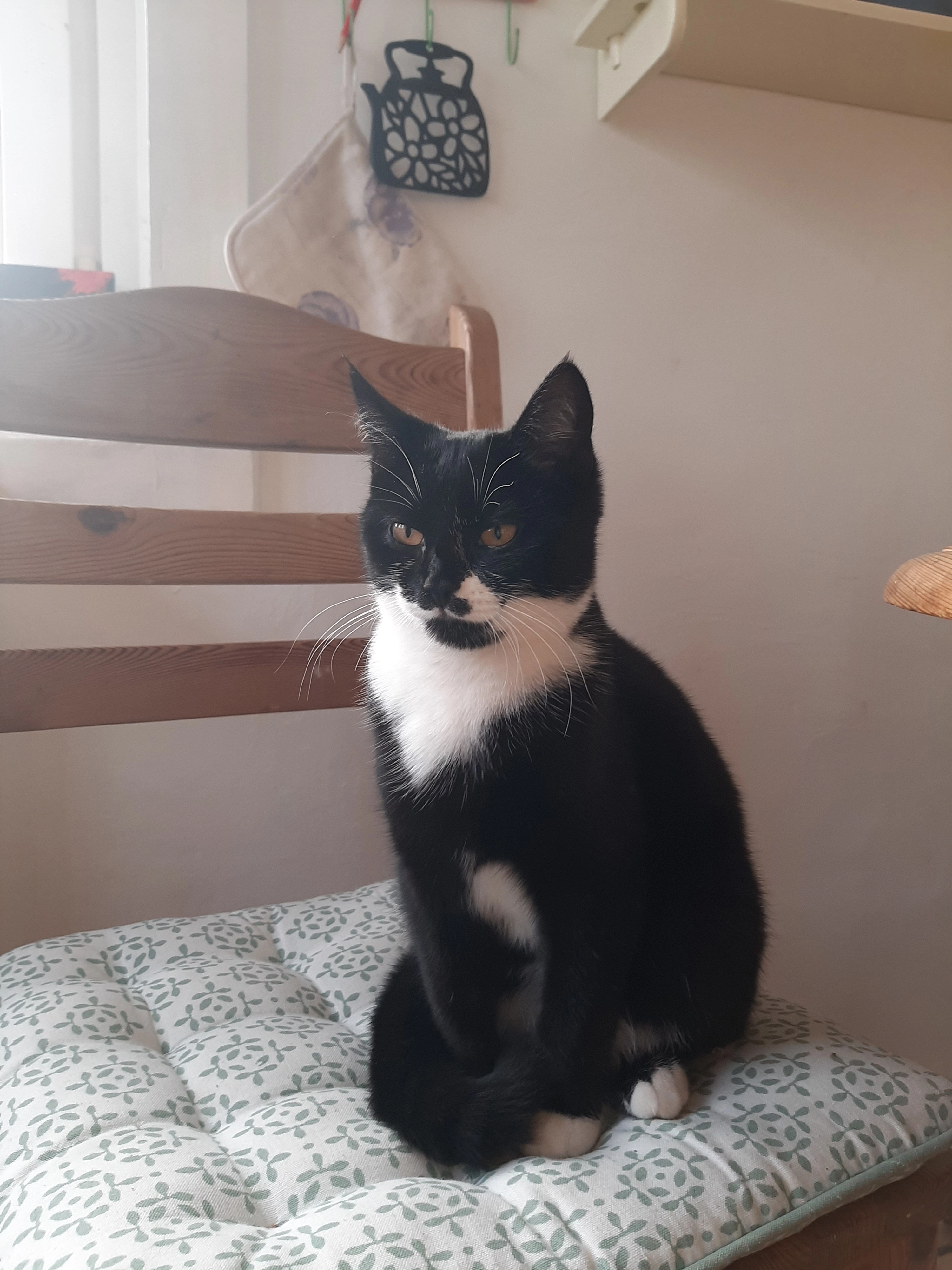 Cleo - Grauer-Stein-Weg, Innsbruck