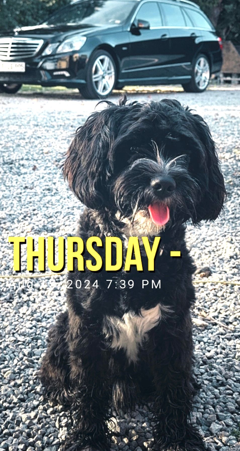 Larry - Mackenbrucher Straße, Oerlinghausen