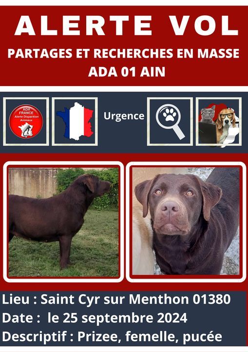 Prizee - 01380, Saint-Cyr-sur-Menthon
