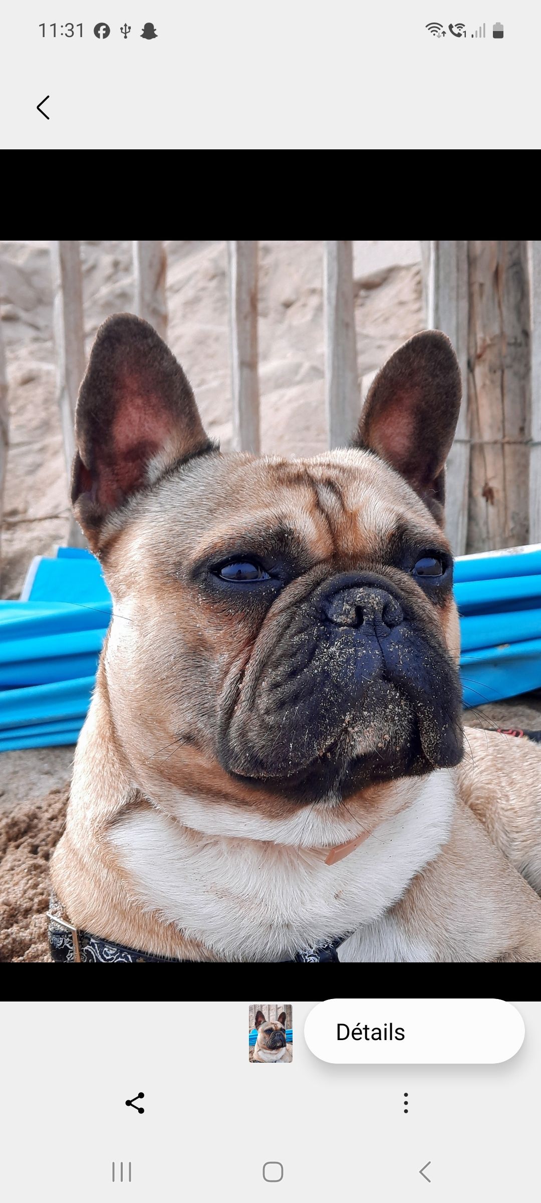 Tempo - Rue Irénée Gilles, Les Sables-d'Olonne