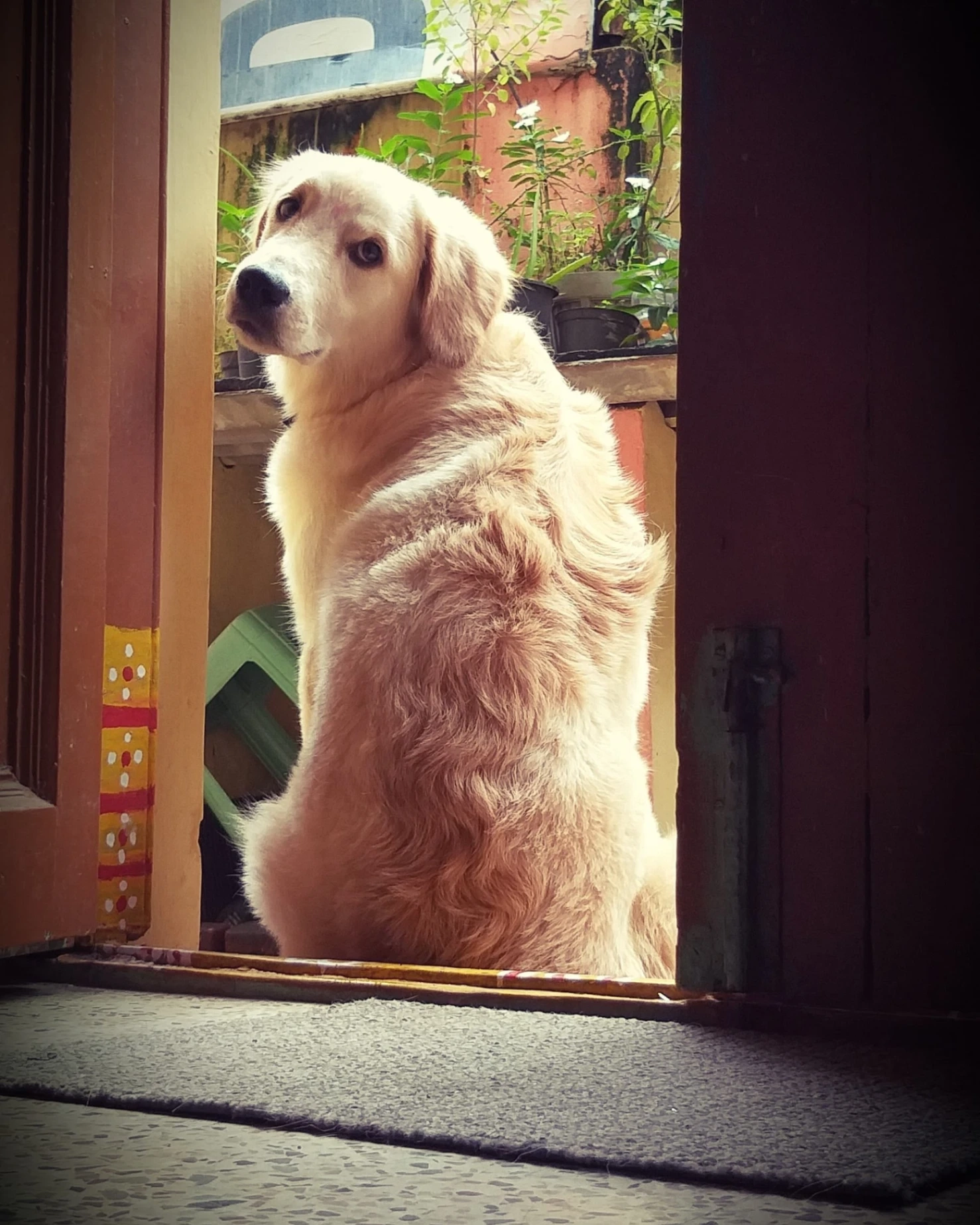 Dolly - Halasuru Road, Ulsoor