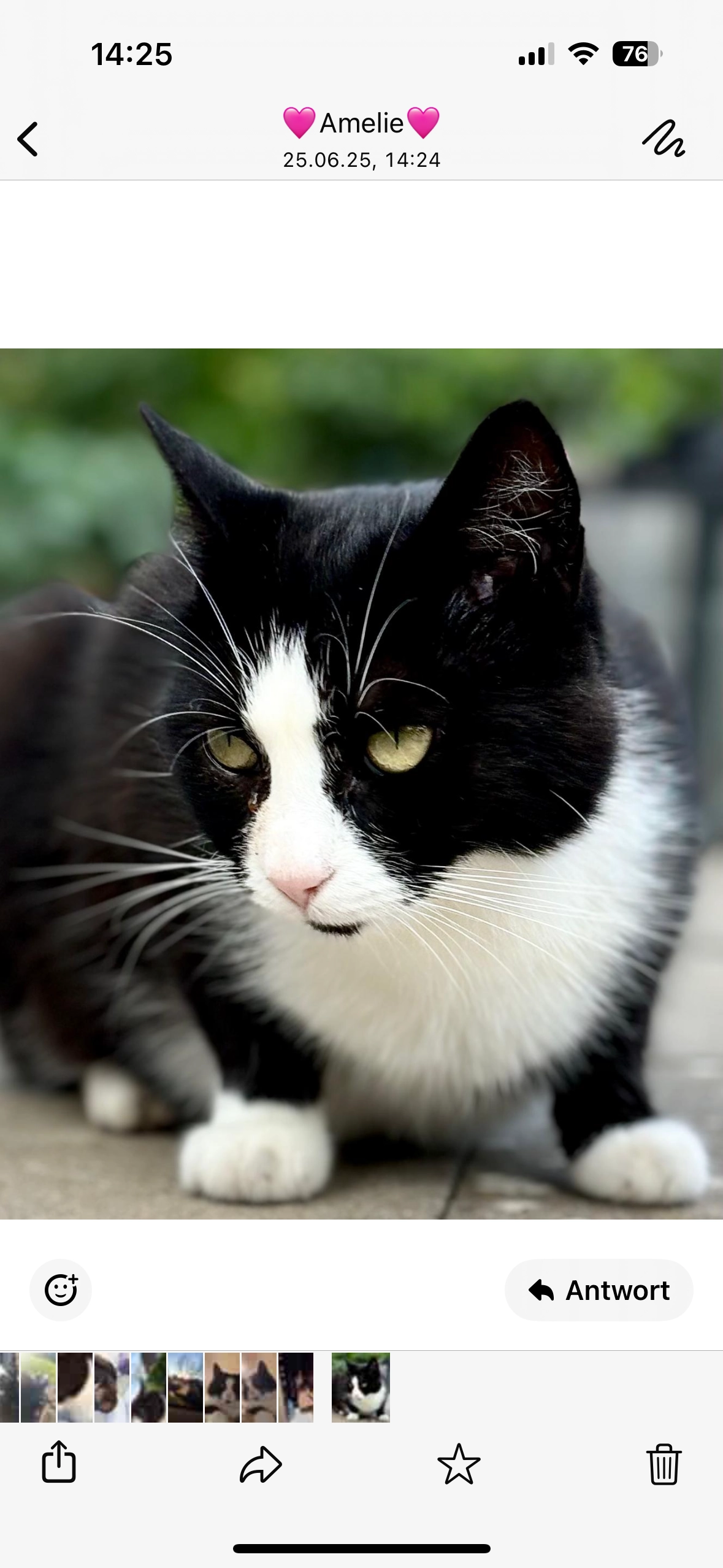 Petra - Elisabeth-Flöge-Straße, Sarstedt