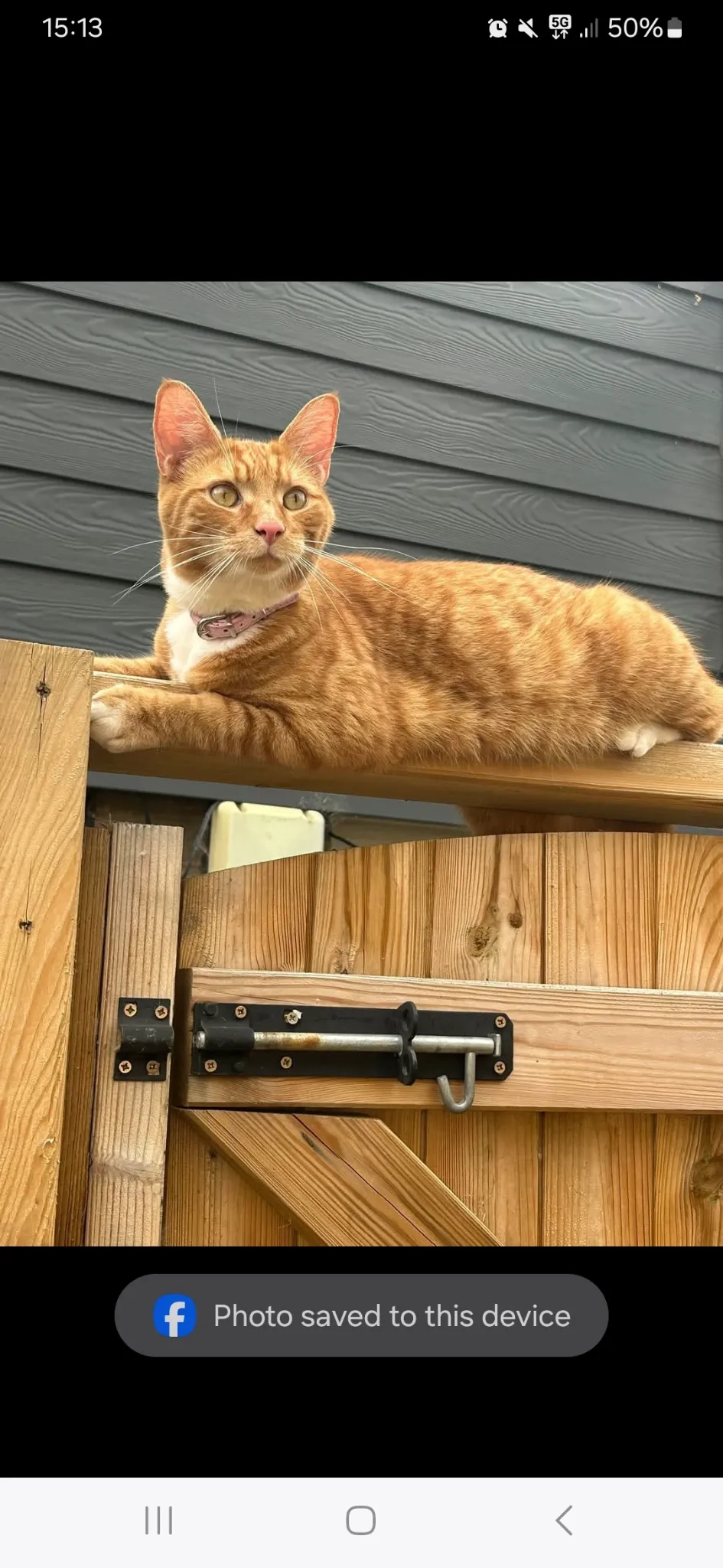 Tod - Leyside Court, Northampton