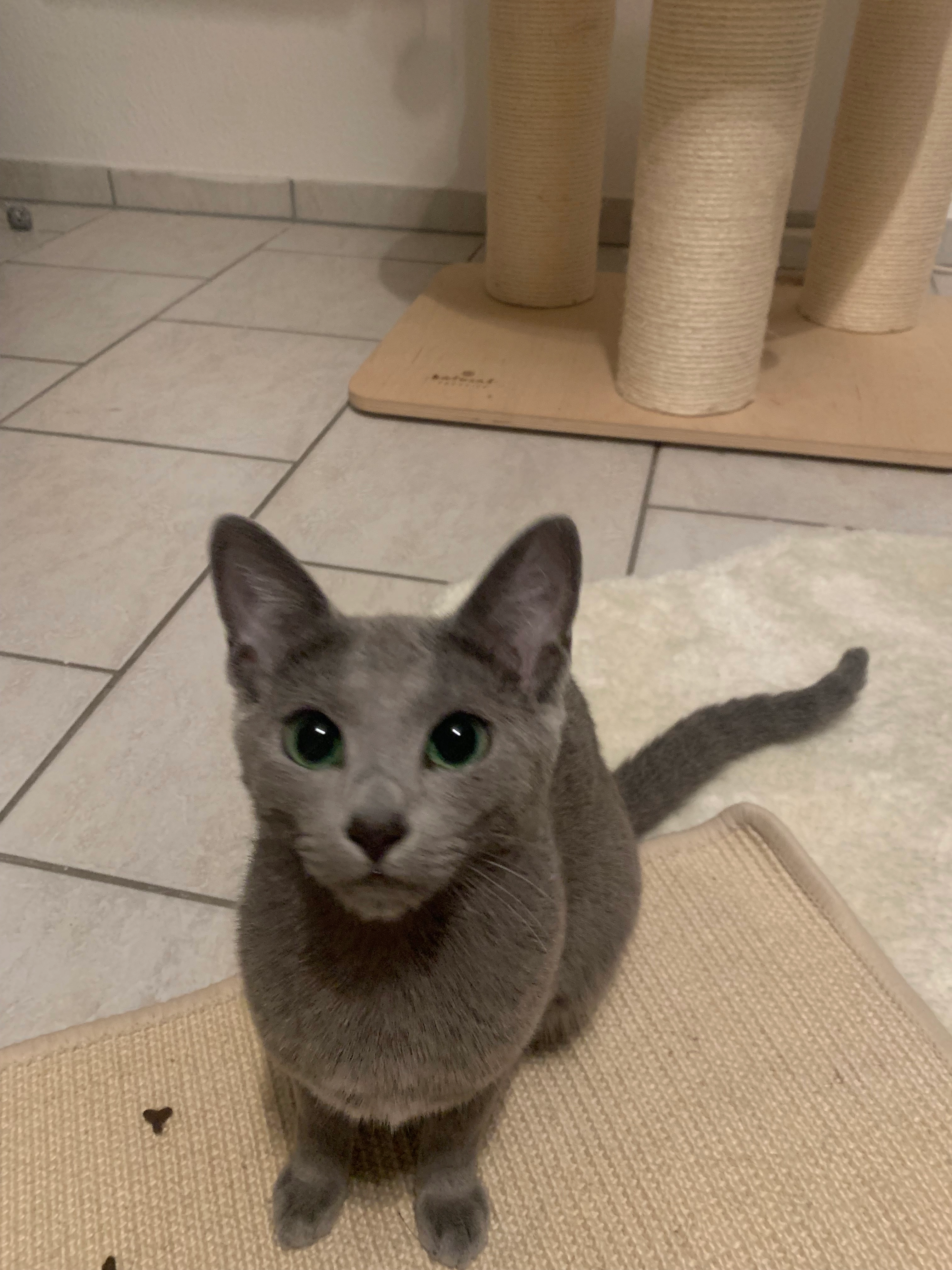 Honey  - Am Grünhof, Düsseldorf