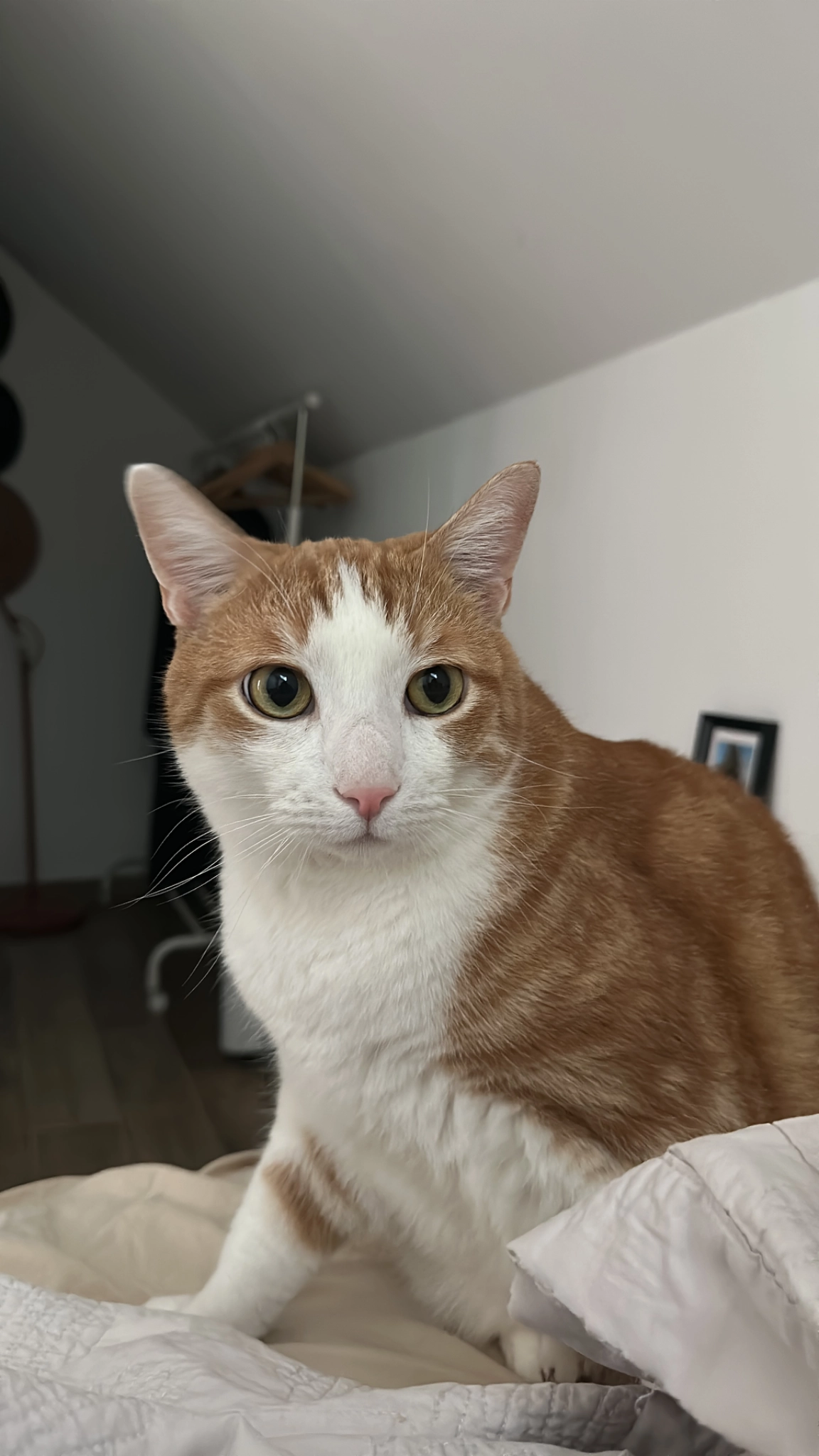 Bento - Rue des Vurziers, Roche