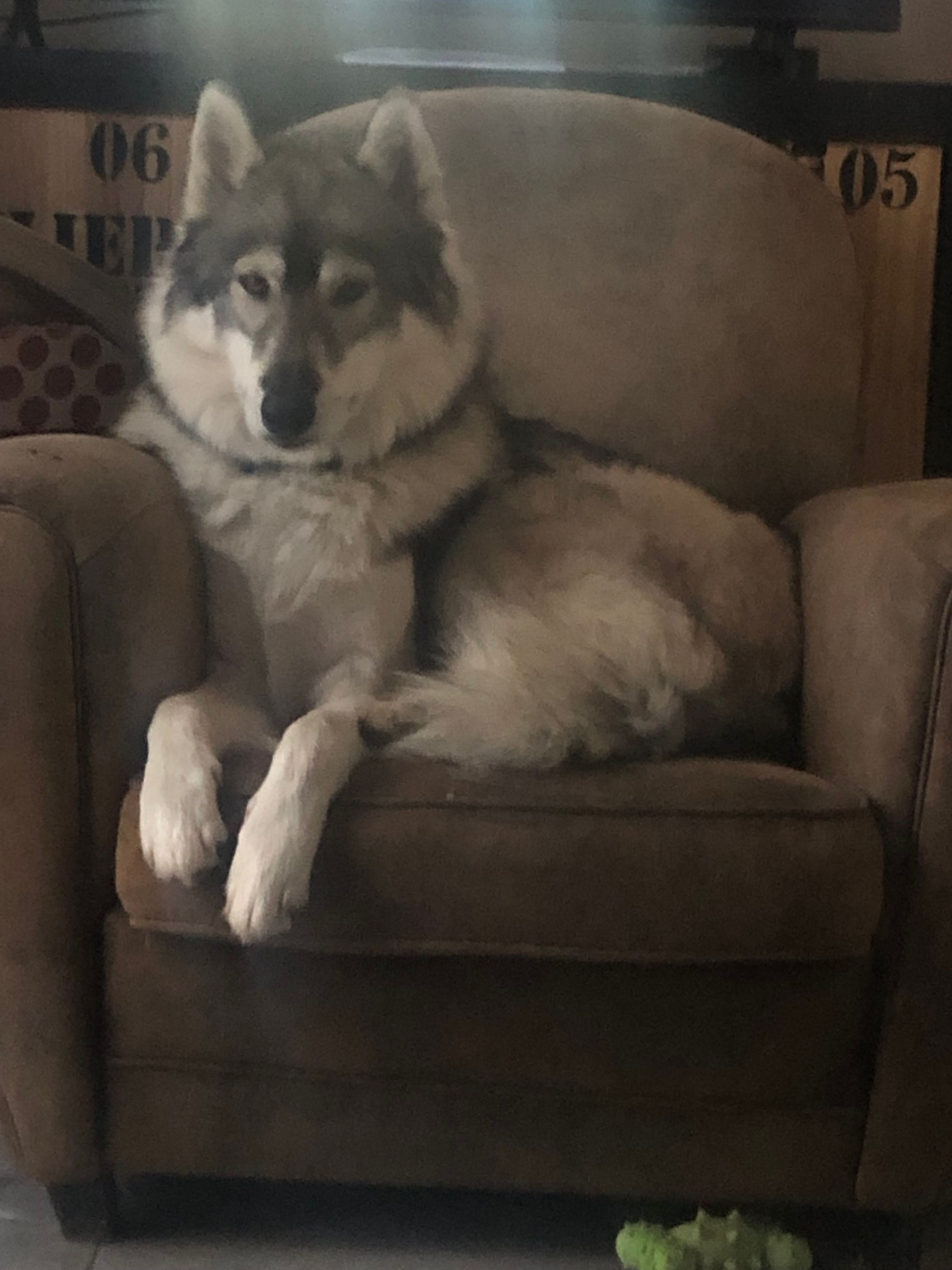 Unarok - 1010 Chemin du Viaduc, Aix-en-Provence