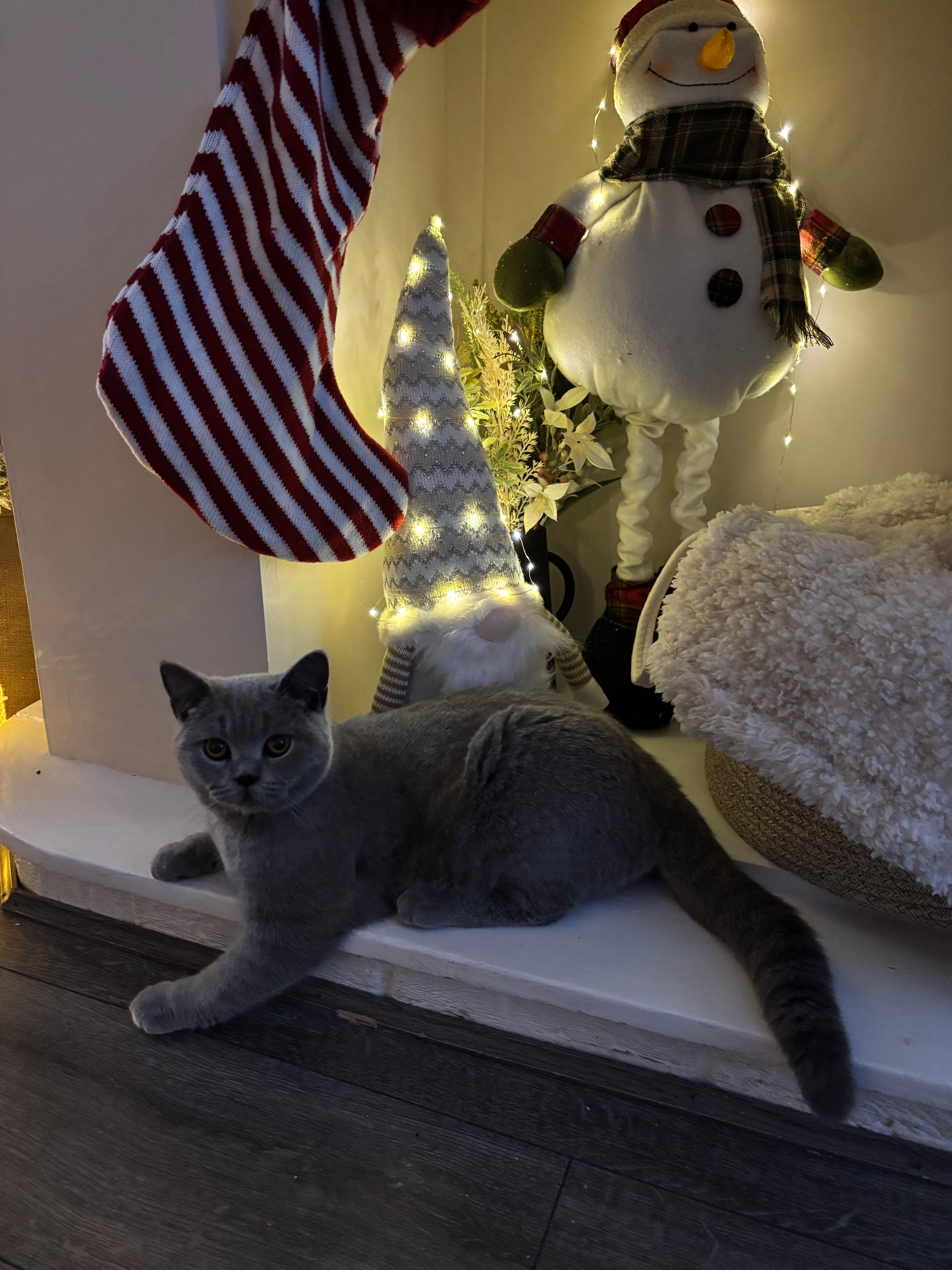 Gucci - Wellesley Road, Sheerness