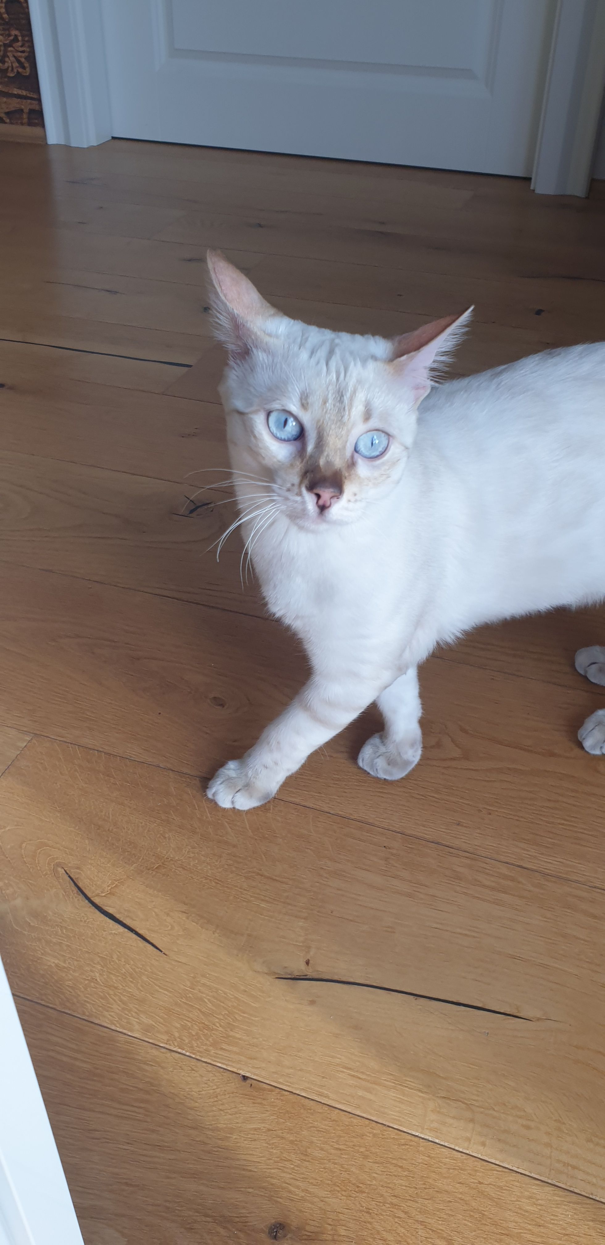 Prinz - Ehrlichweg, Neuhof