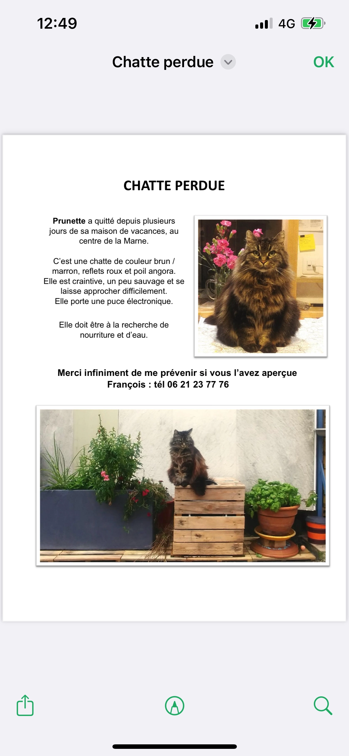 Prunette - 44270, La Marne