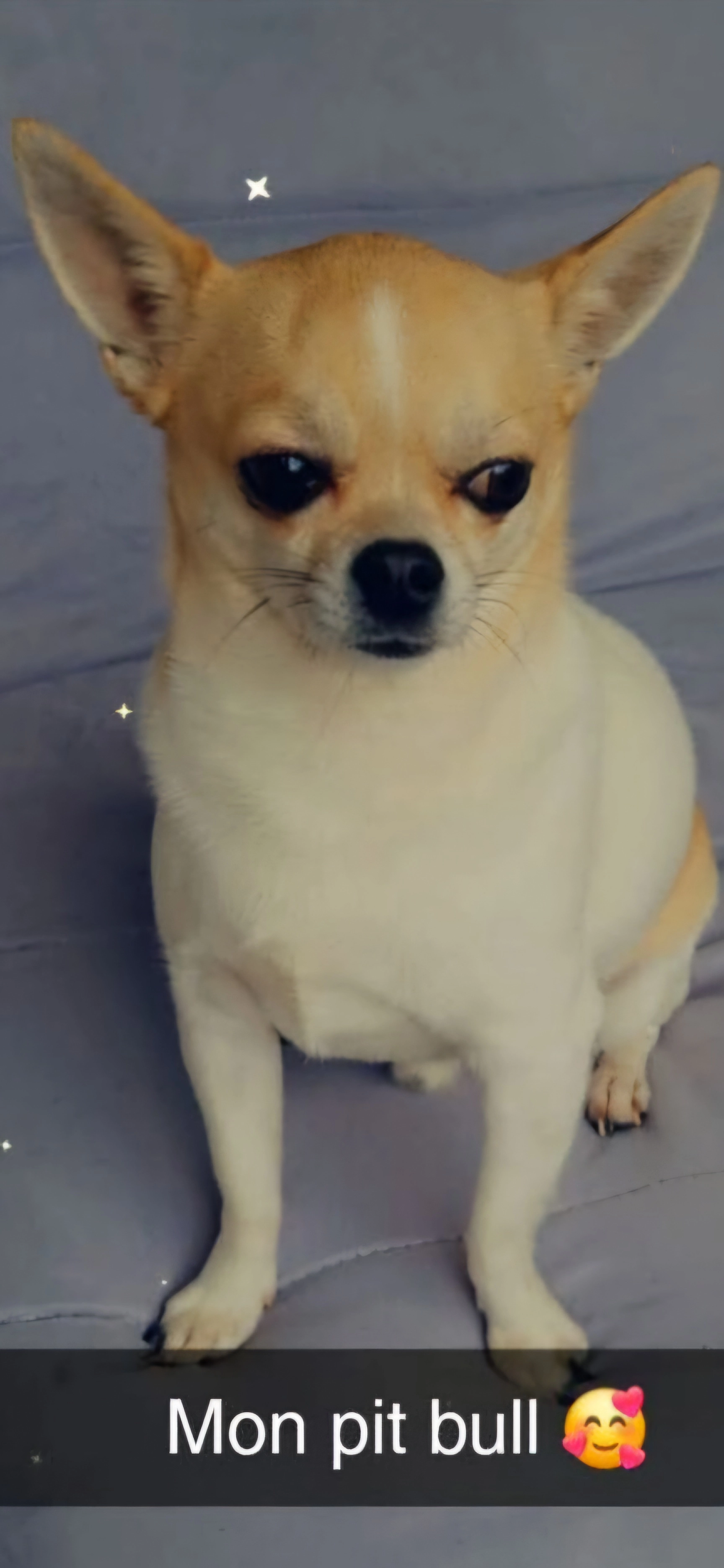 Marley - Rue Émile Zola, Faches-Thumesnil