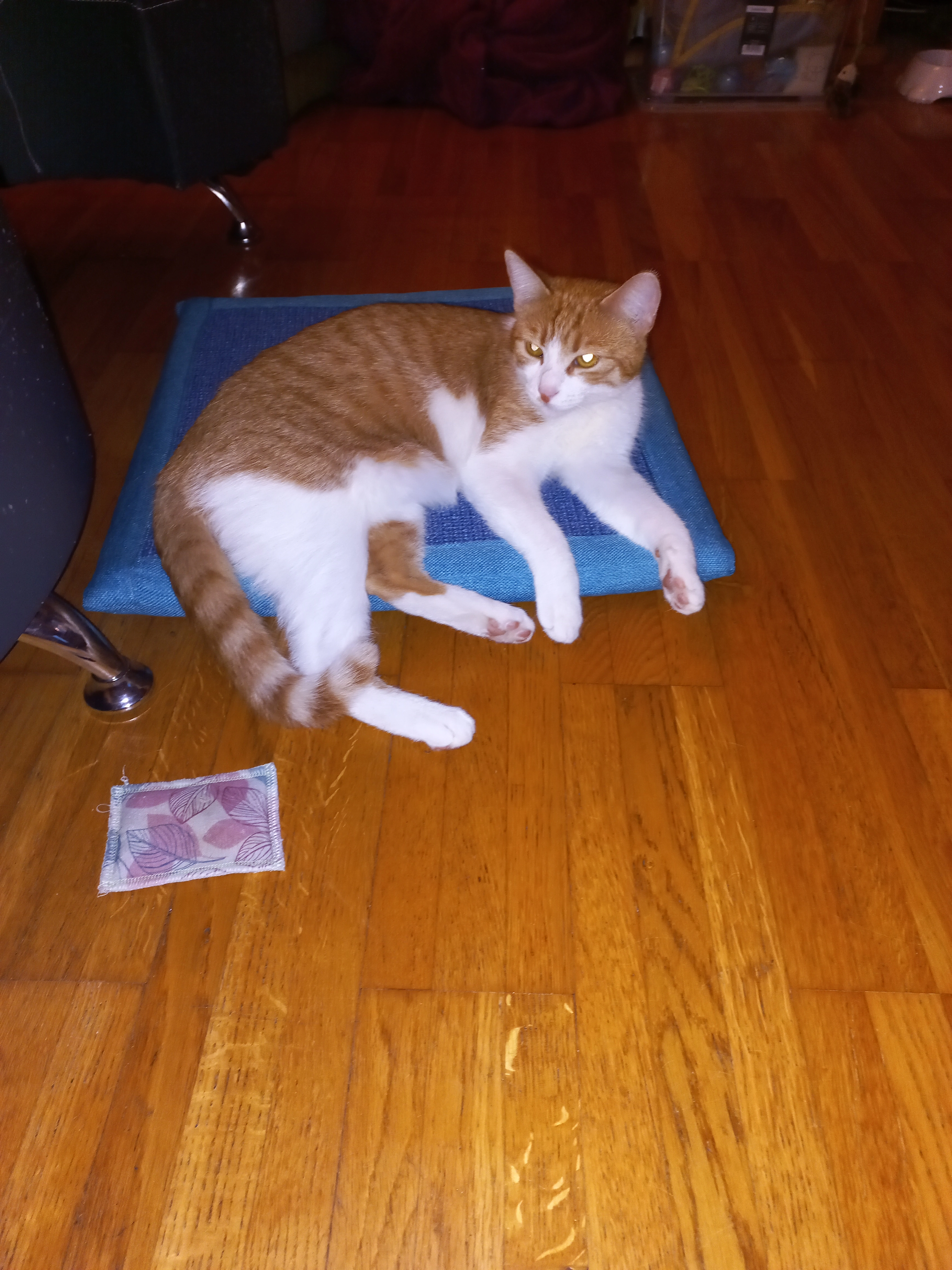 Milly - Mauckweg, St. Johann in Tirol