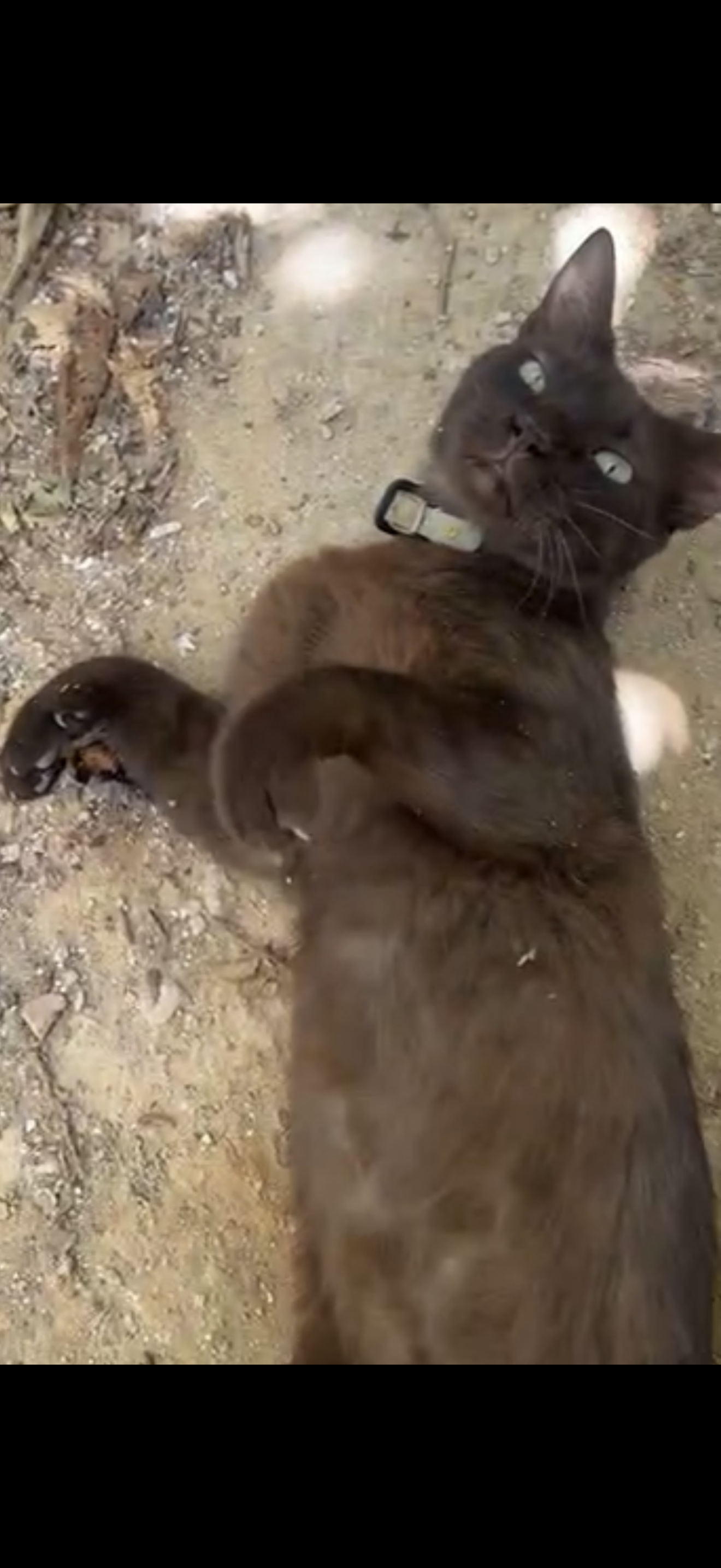 Τσίφτης - Μενελάου, Ilion