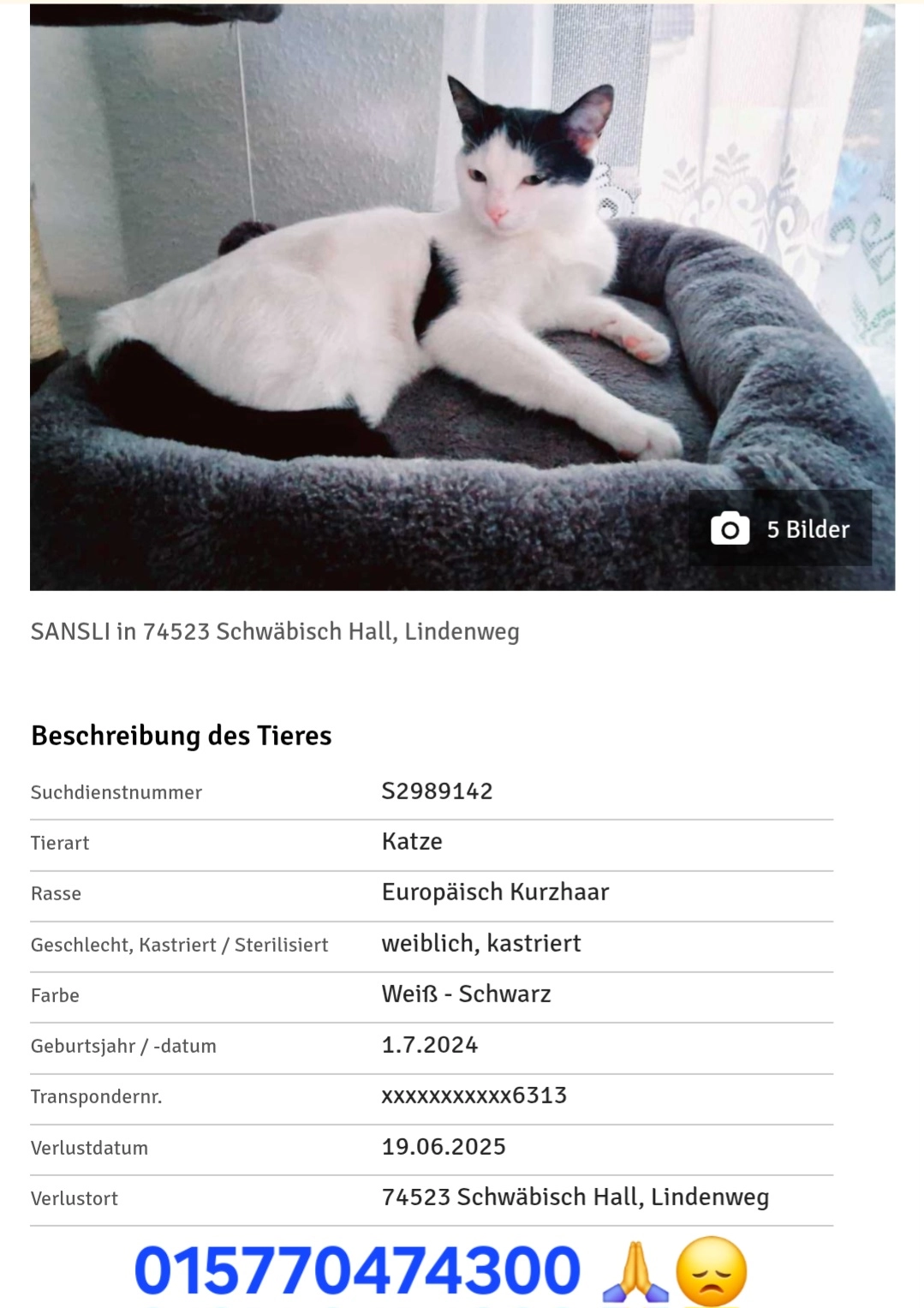 Sanslı - Dammstraße, Schwäbisch Hall