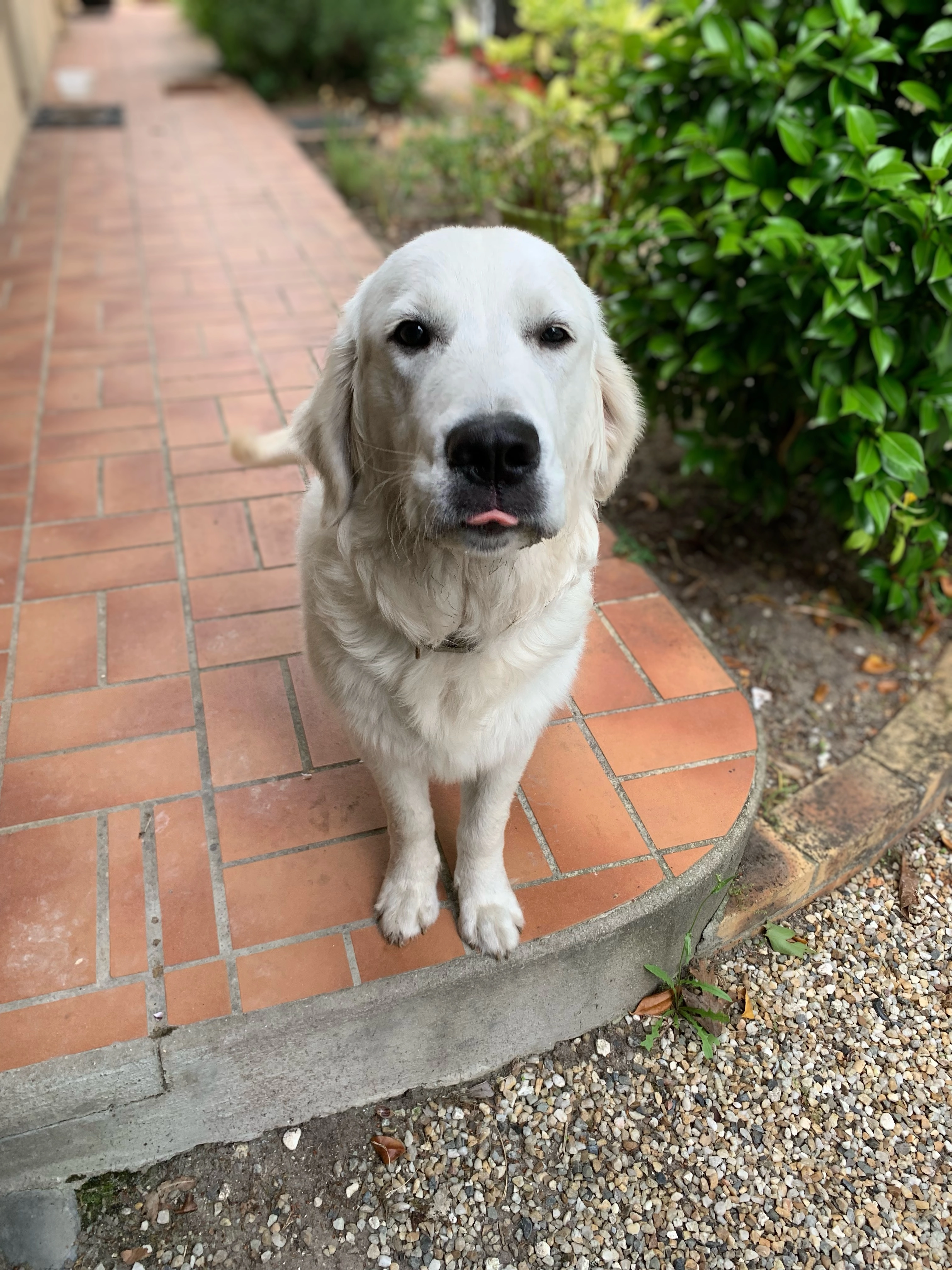 Vic - Rue Haut, Abos