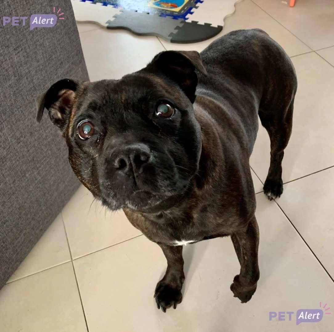 Lya - Rue De La Source, Laning