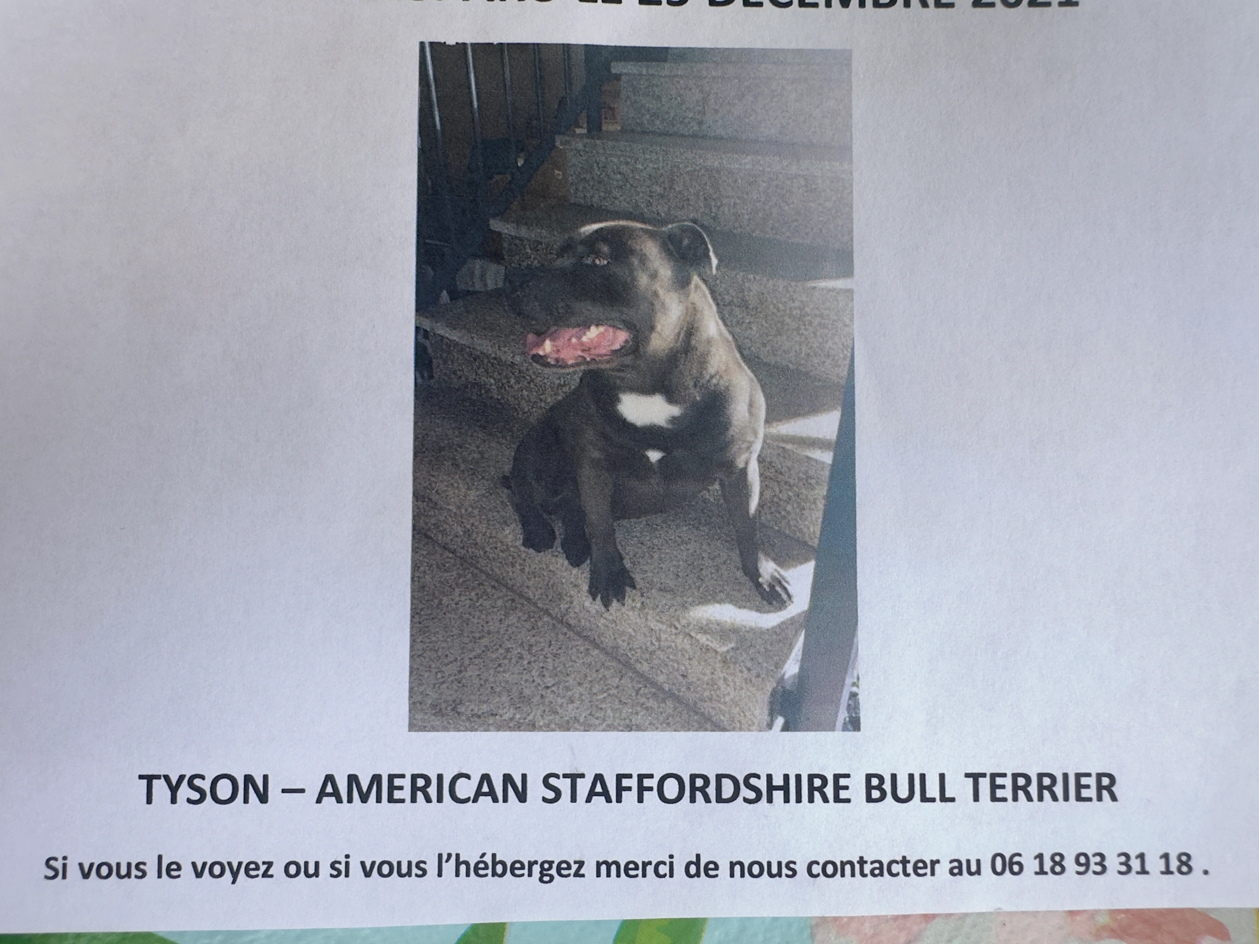 Tyson - Avenue du Maréchal Joffre, Argenteuil