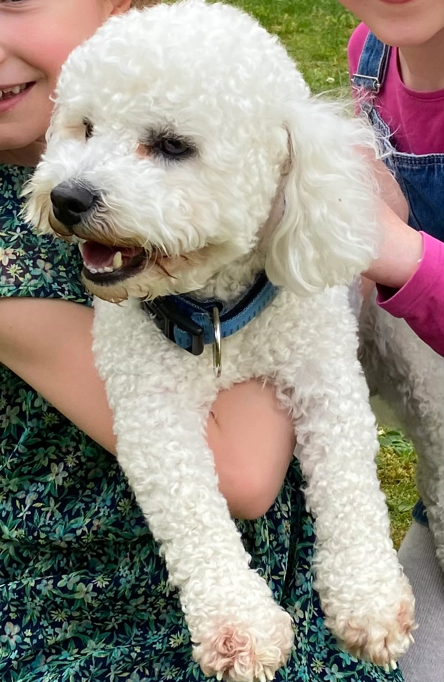 Bingo - Rue Des Acres, Compiègne