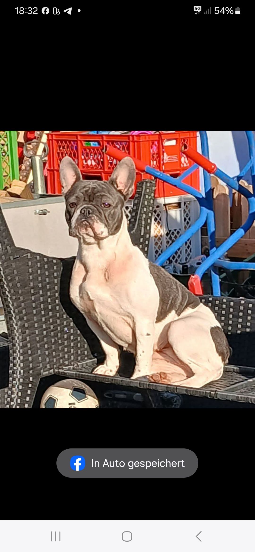 Mucki - Robert-Bosch-Straße, Kernen im Remstal