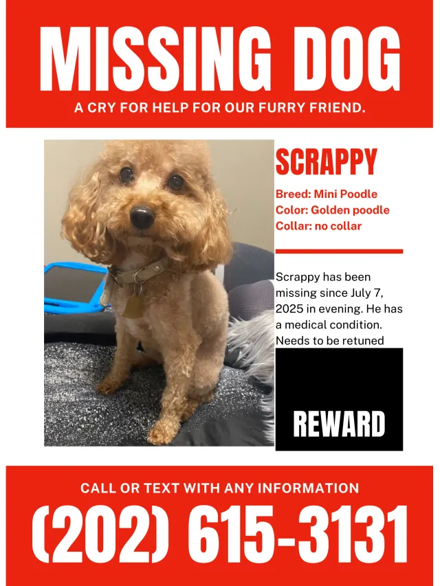 Scrappy - 4227 28th Ave, Temple Hills