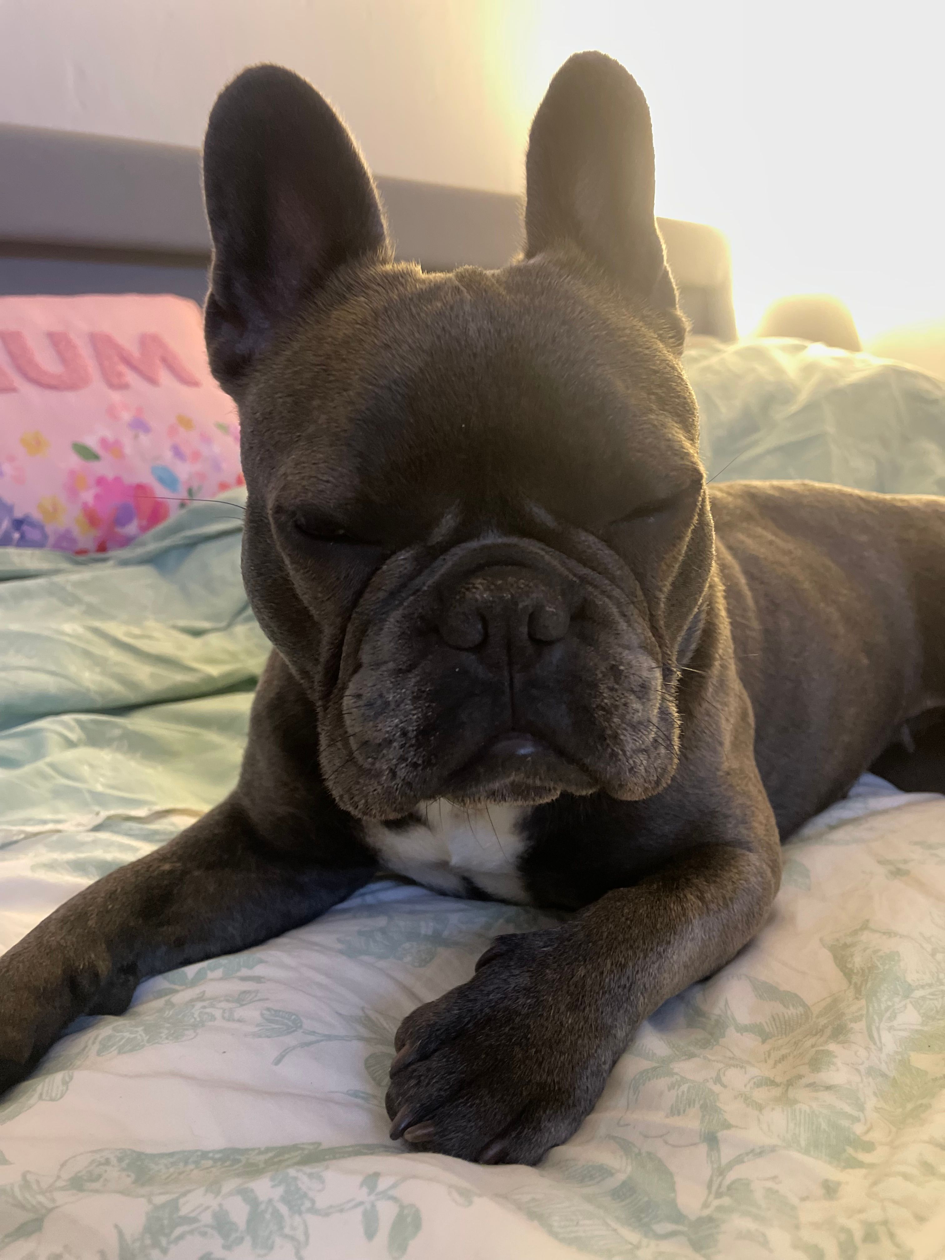 cleo - Sewall Highway, Coventry