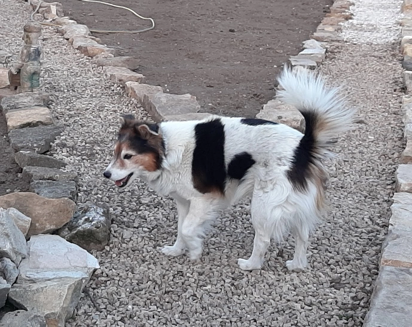 Vlocky - Грао 43222 44, Levski