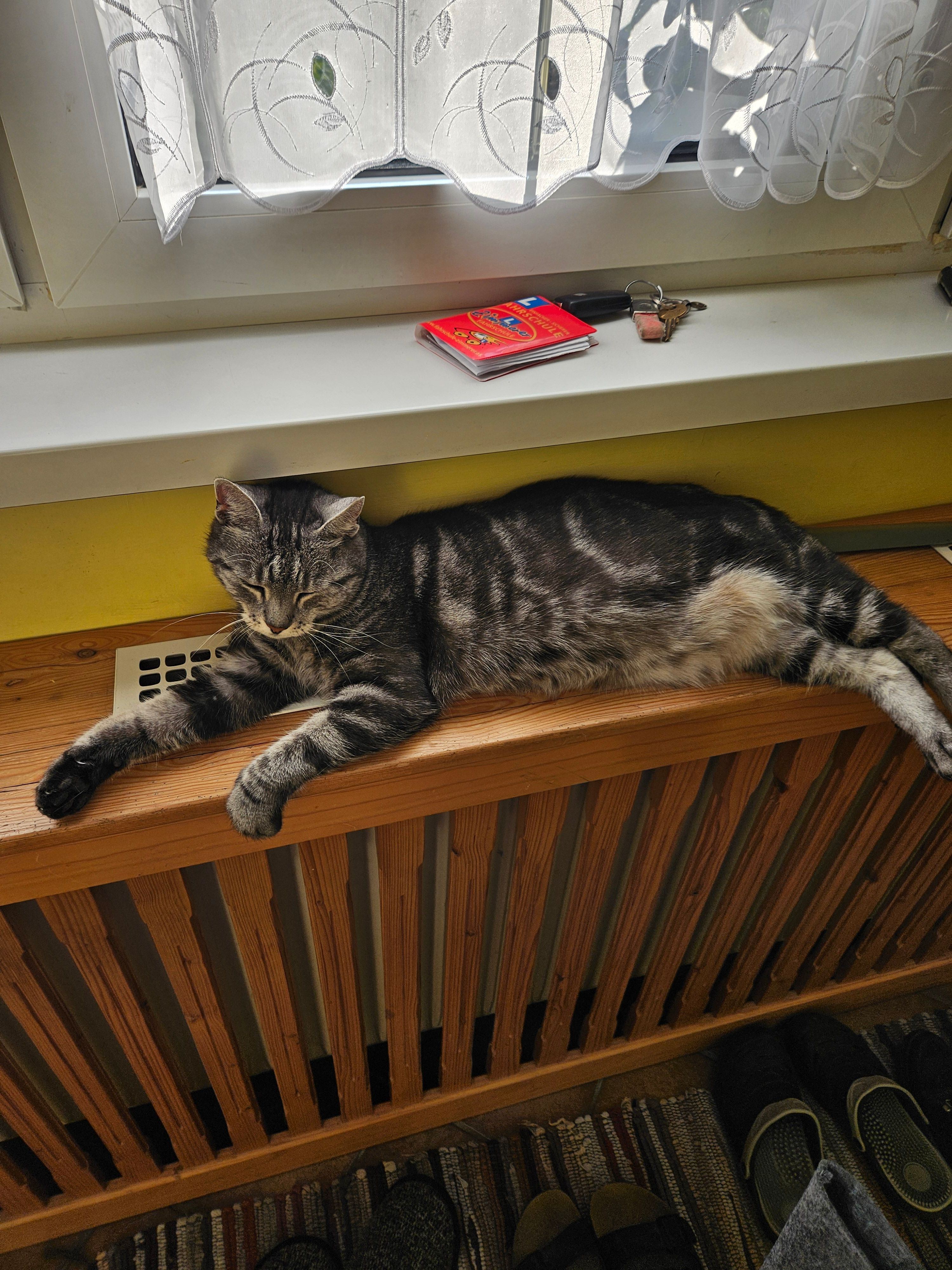 Mimi - 2024, Mailberg