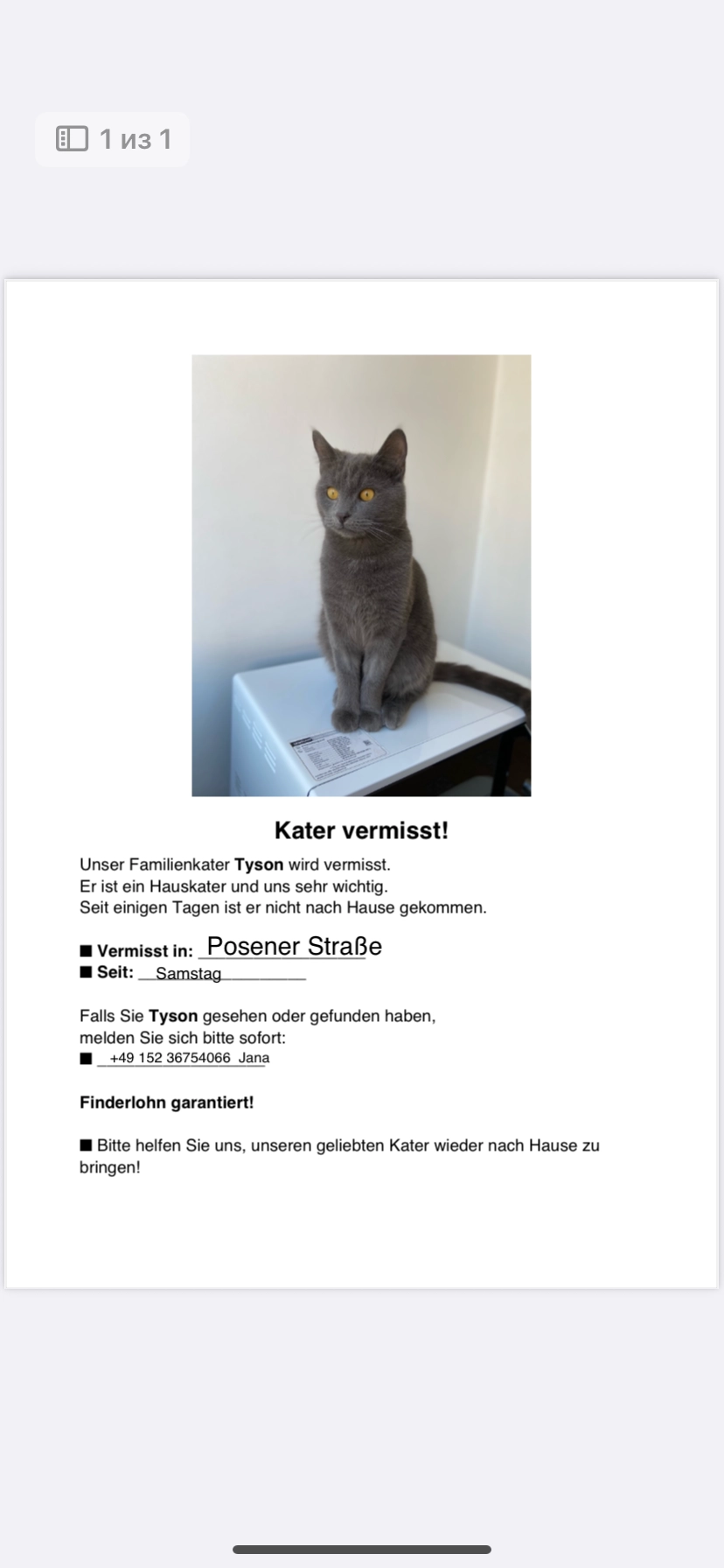 Taison - Posener Straße, Gelsenkirchen