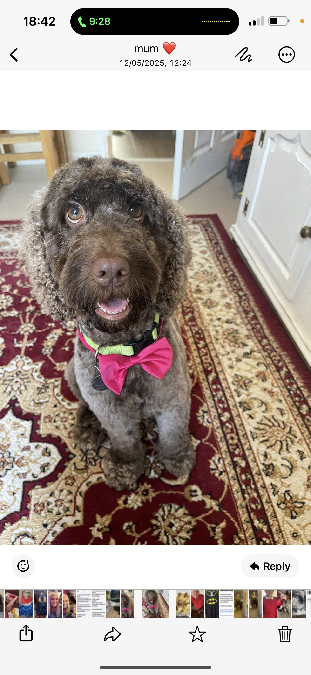 Coco - Stapleton Lane, Leicester