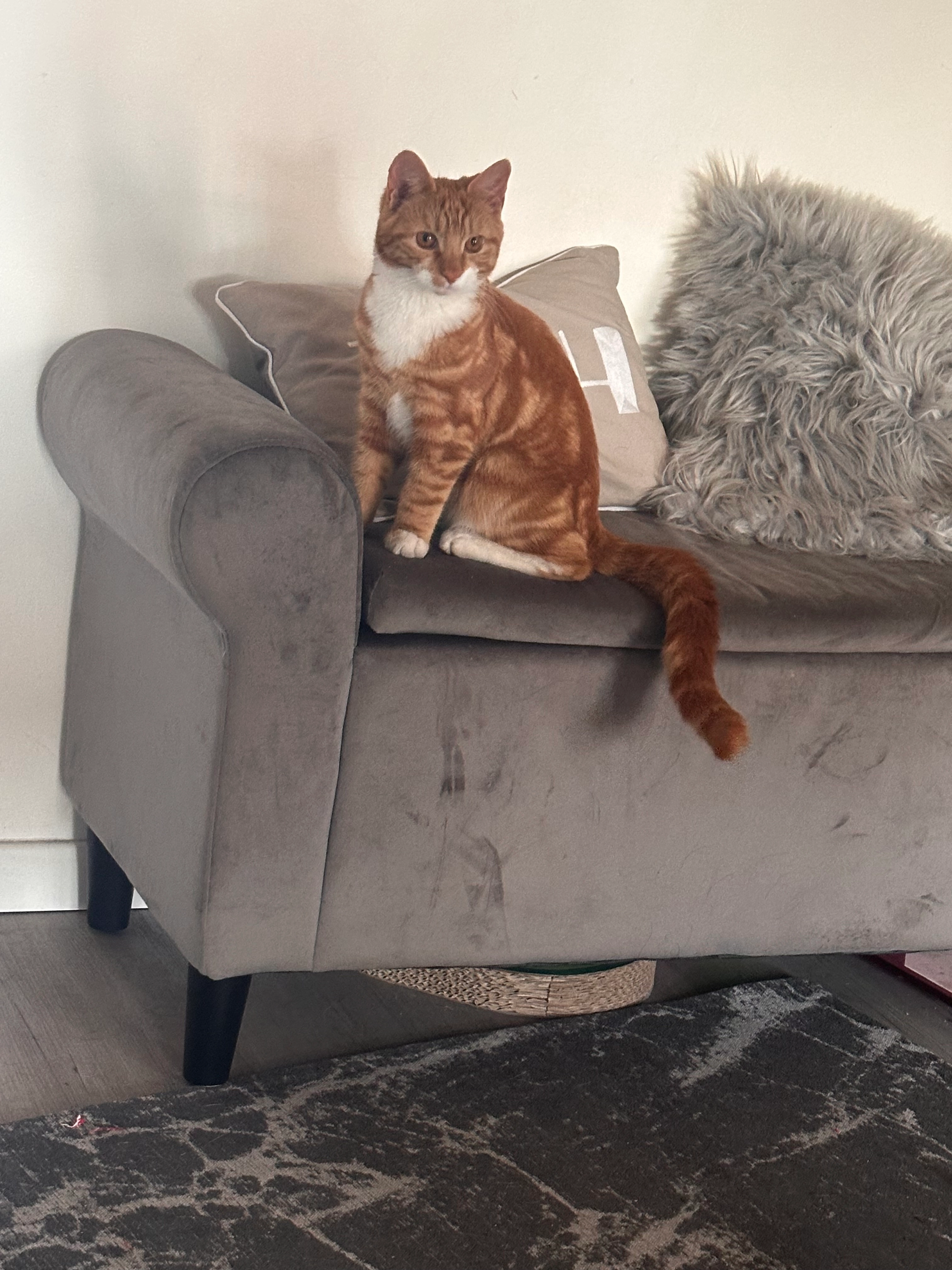 Pablo - Waterloo Street, Burton upon Trent