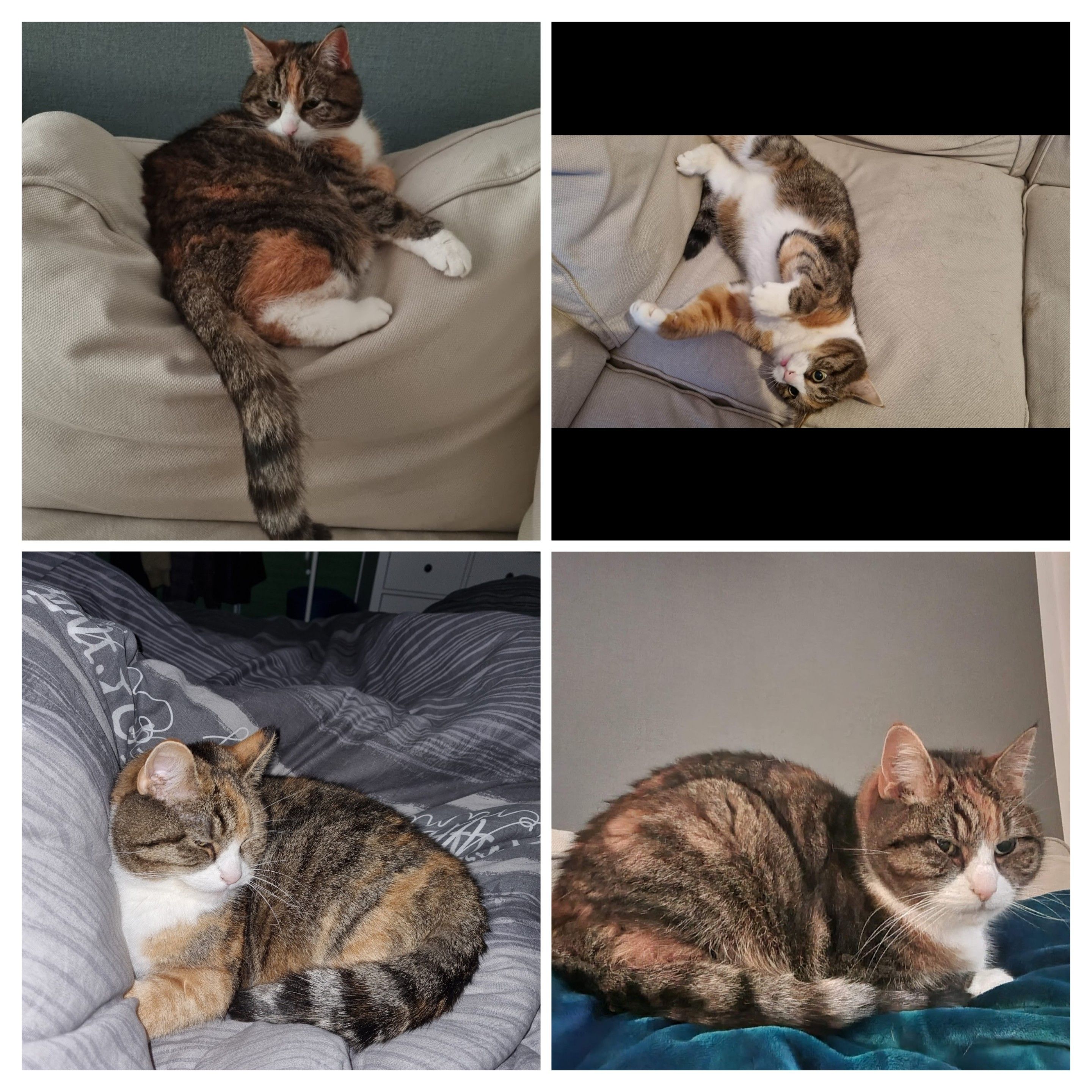 LISSI - Karl-Liebknecht-Straße, Bad Sülze