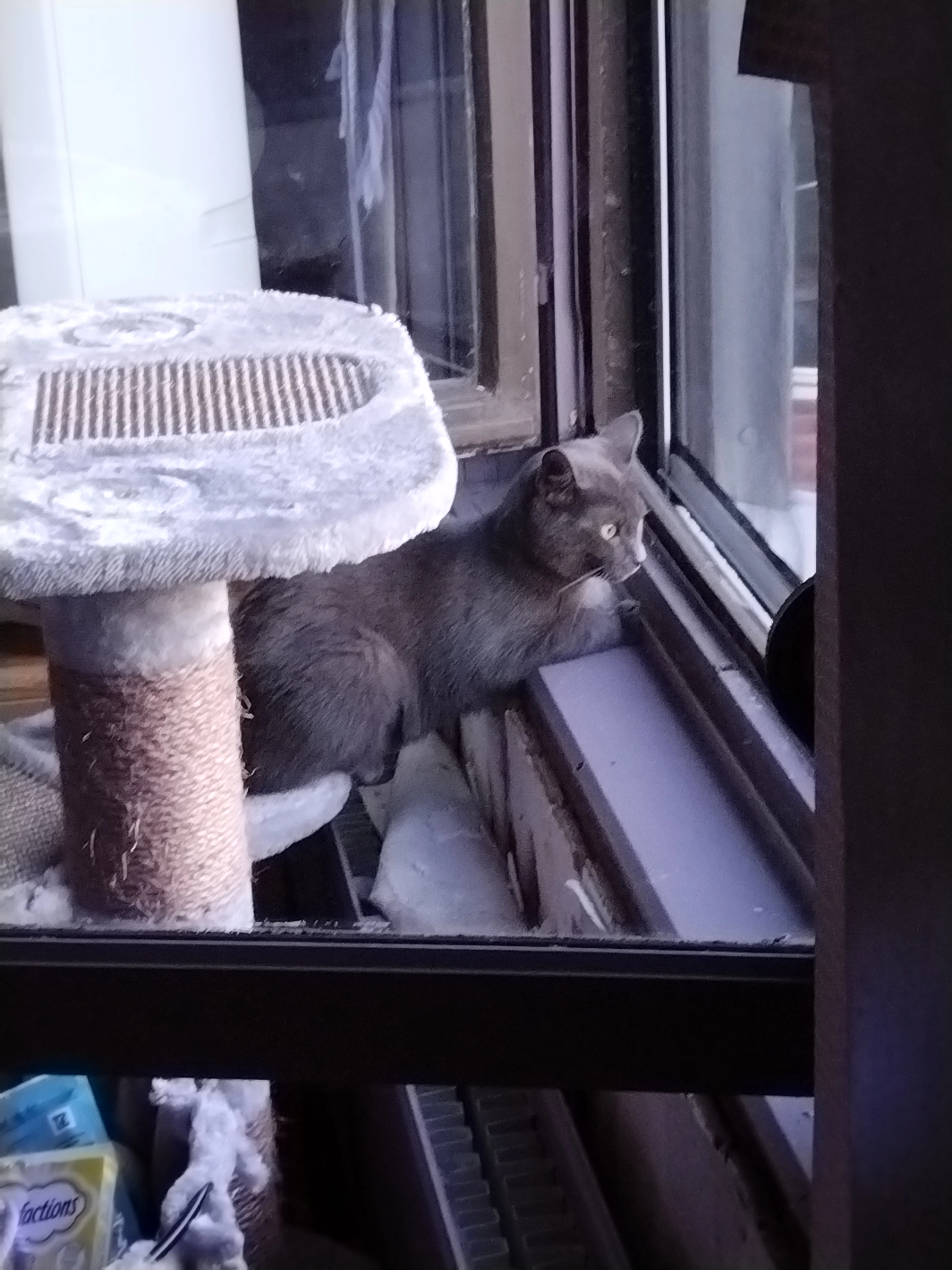 Romy - 67 Rue Jean Jaurès, Aulnoy-lez-Valenciennes