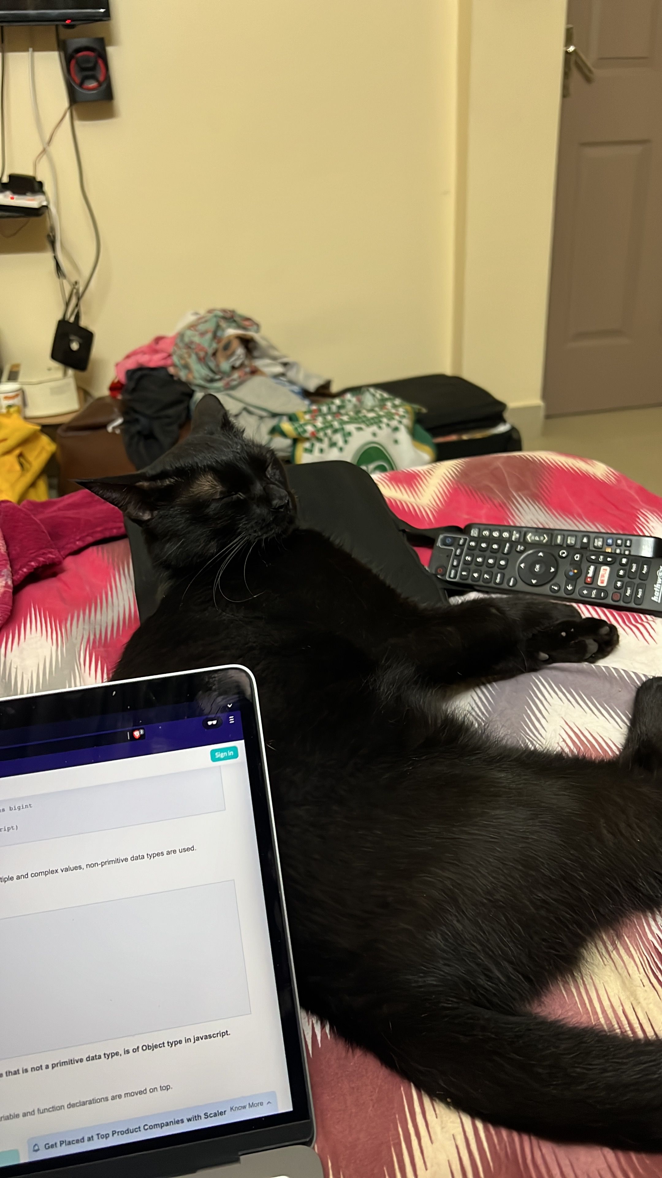 Salem - Neelankarai, East Coast Road, Chennai