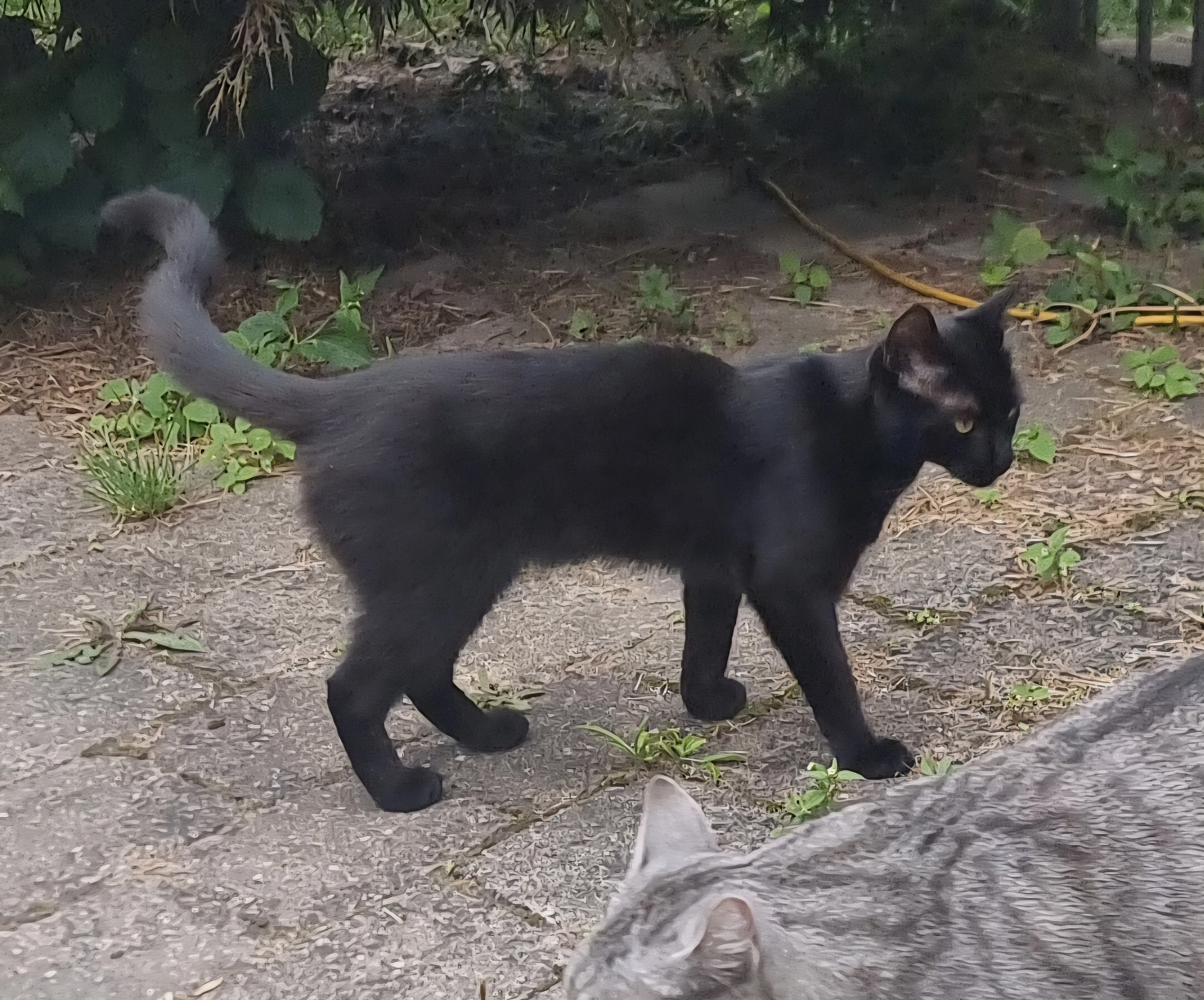 Jinx - Friedrich-Ebert-Straße, Datteln