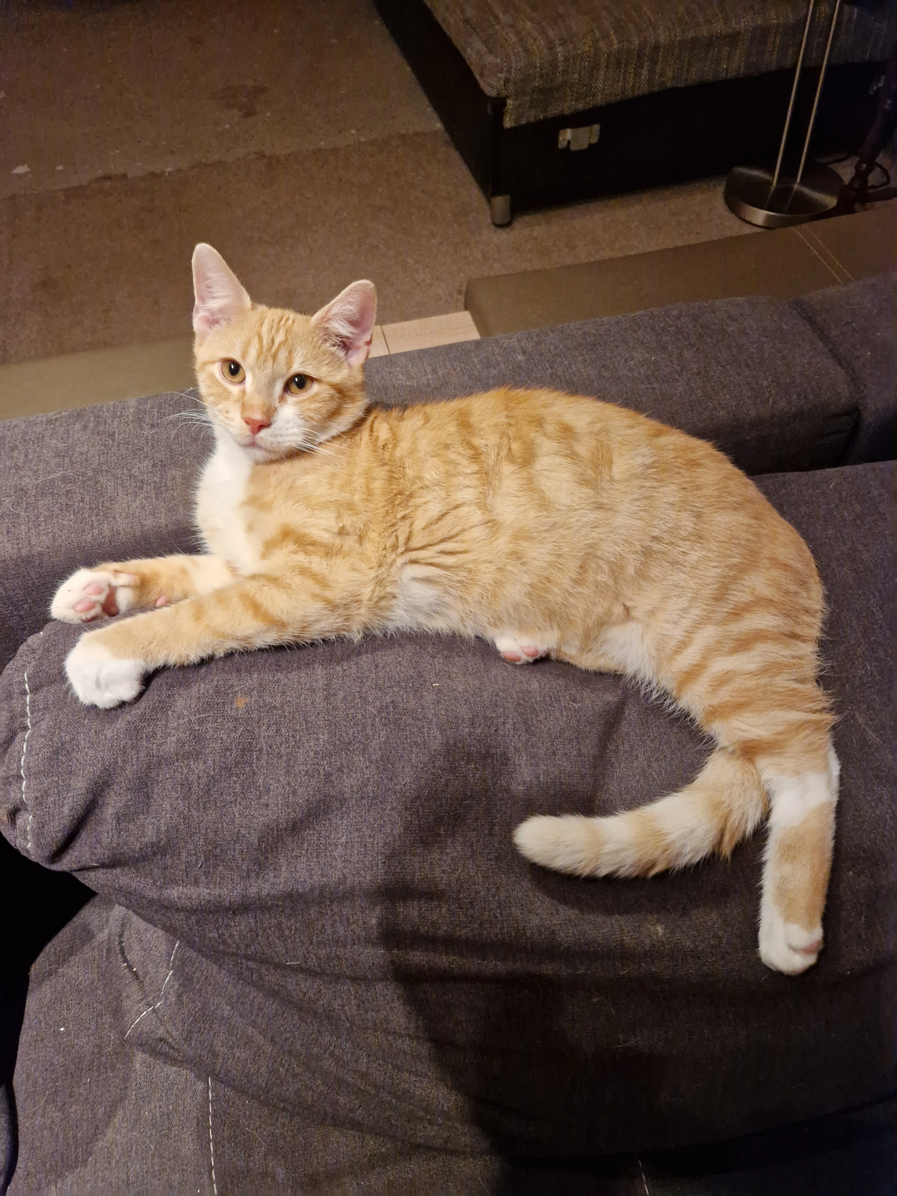 Yimir - Dorfstraße, Walkendorf