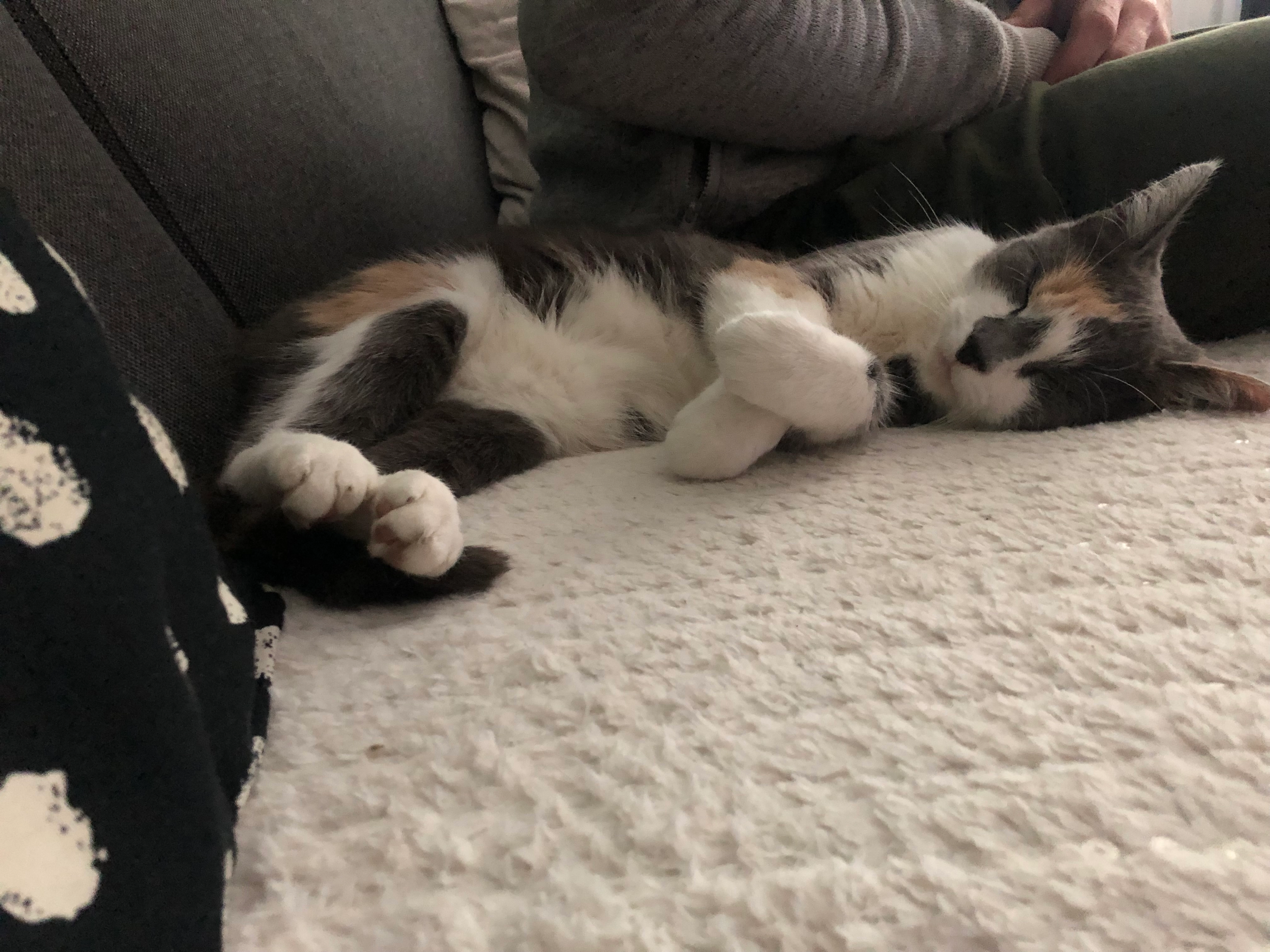 Lilly - Pinkstraat, Leeuwarden