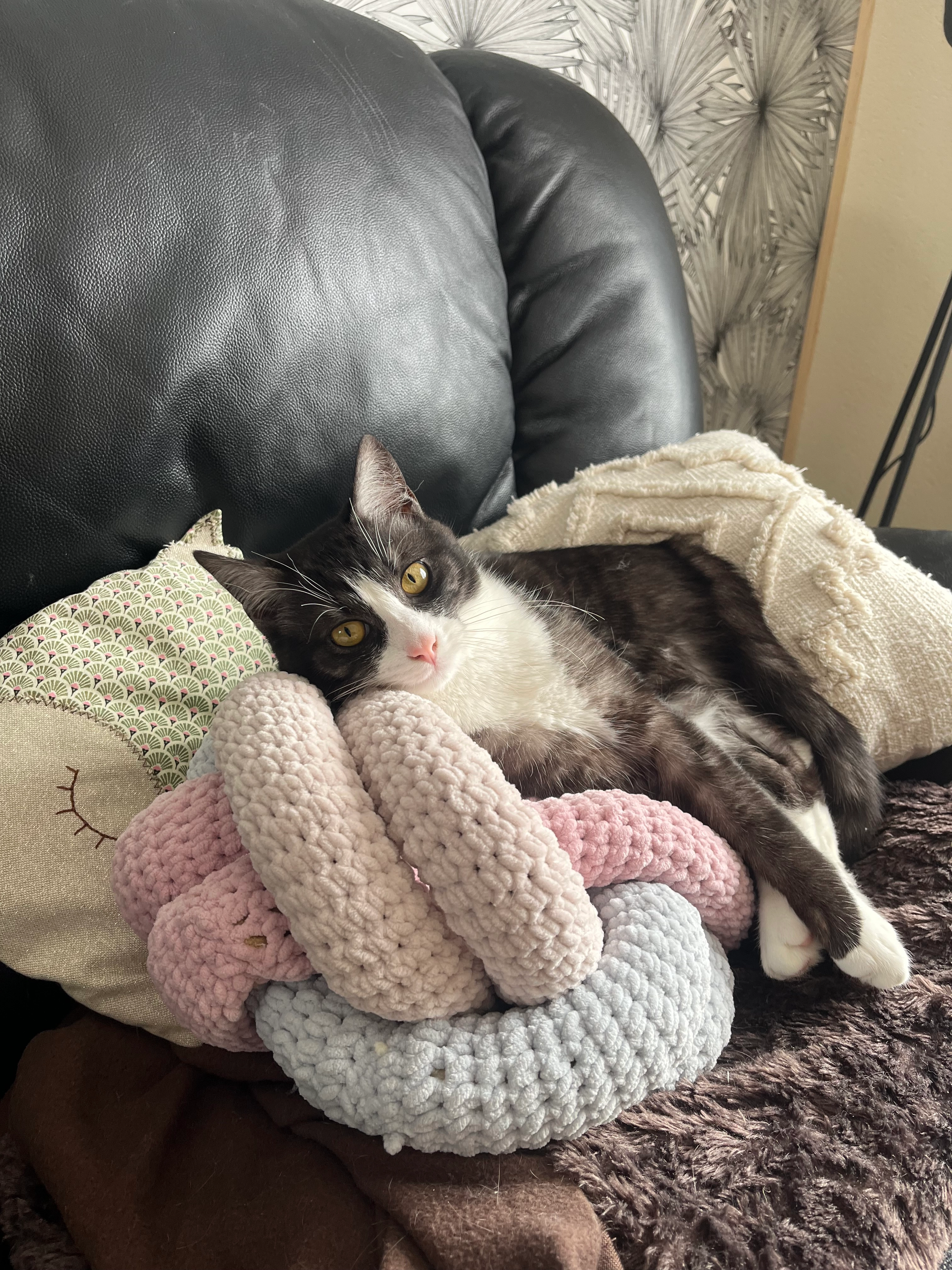 Wali - Place De La Mairie, Thouars